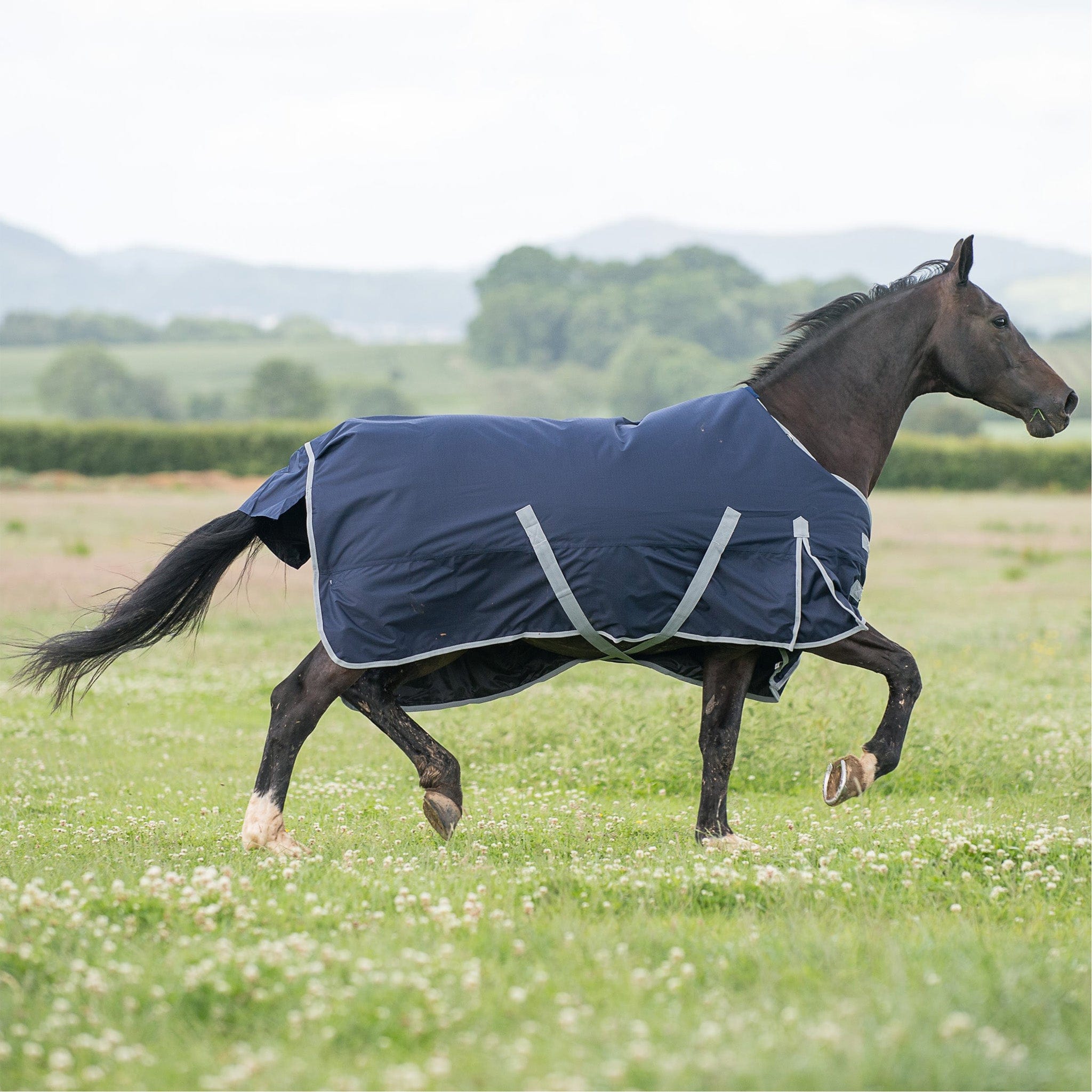 Gallop Trojan 300g Standard Neck Turnout Rug