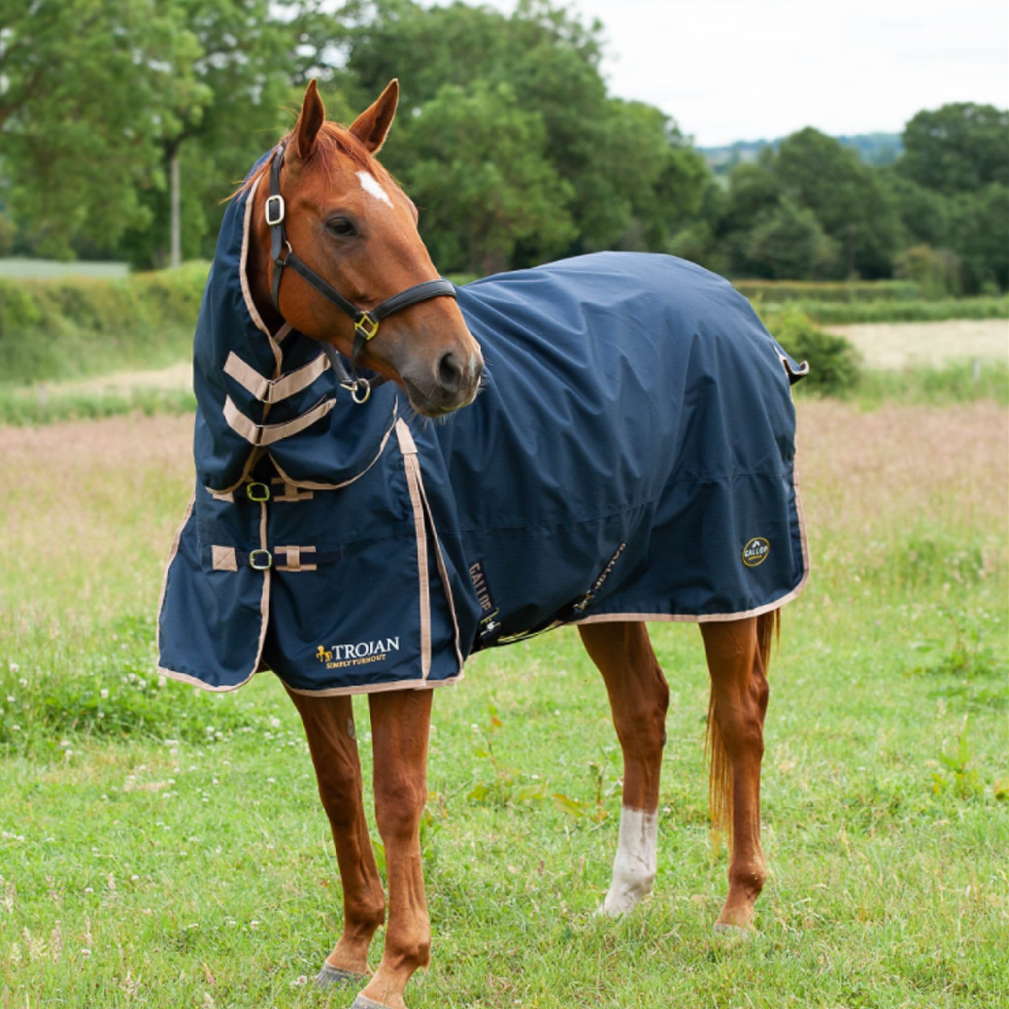 Gallop Trojan 100g Combo Neck Turnout Rug