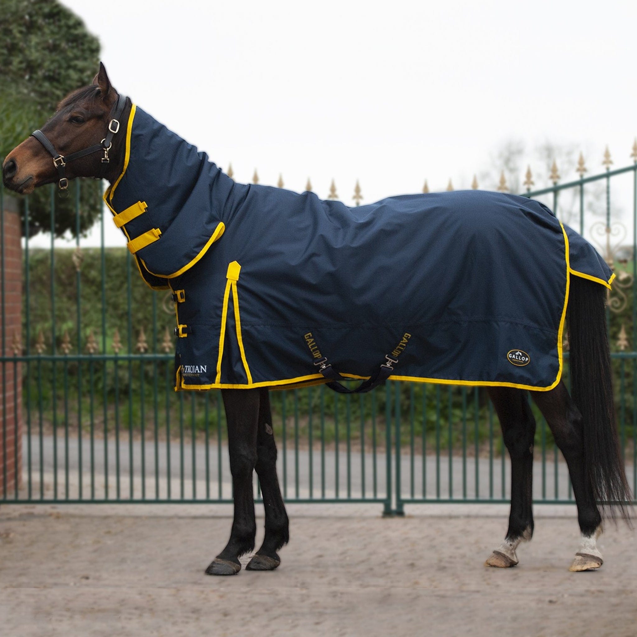 Gallop Trojan 200g Combo Neck Turnout Rug