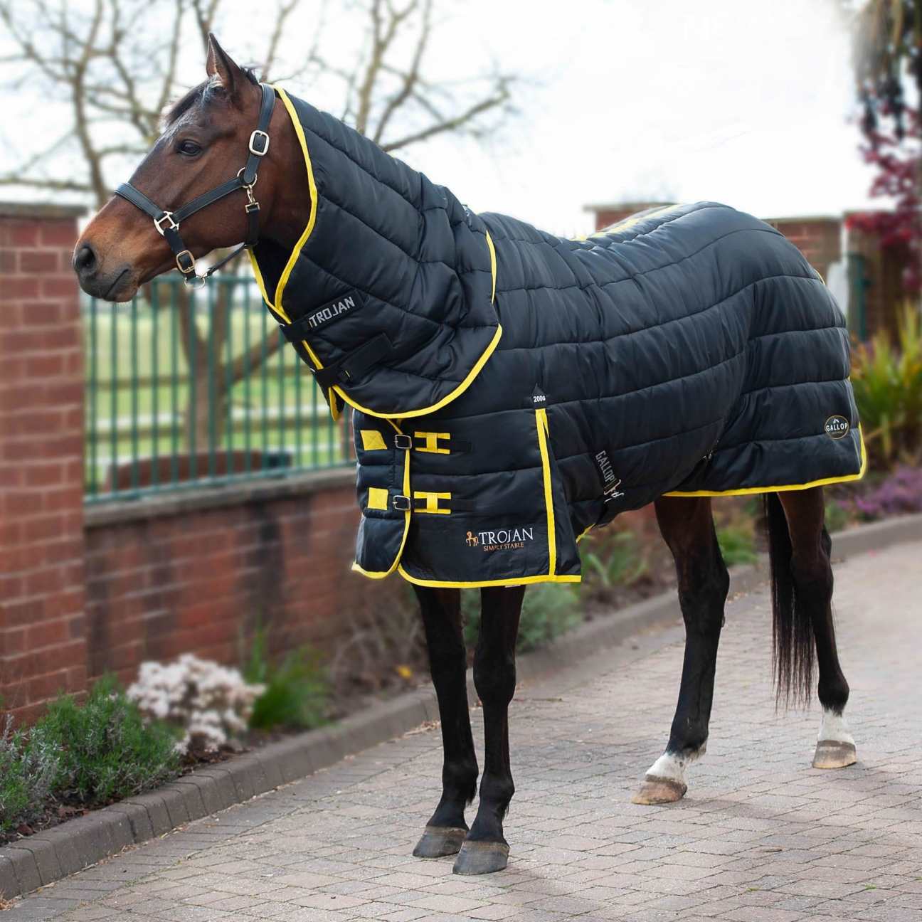 Stable Rugs Horse Stable Rugs with Free UK Delivery* EQUUS