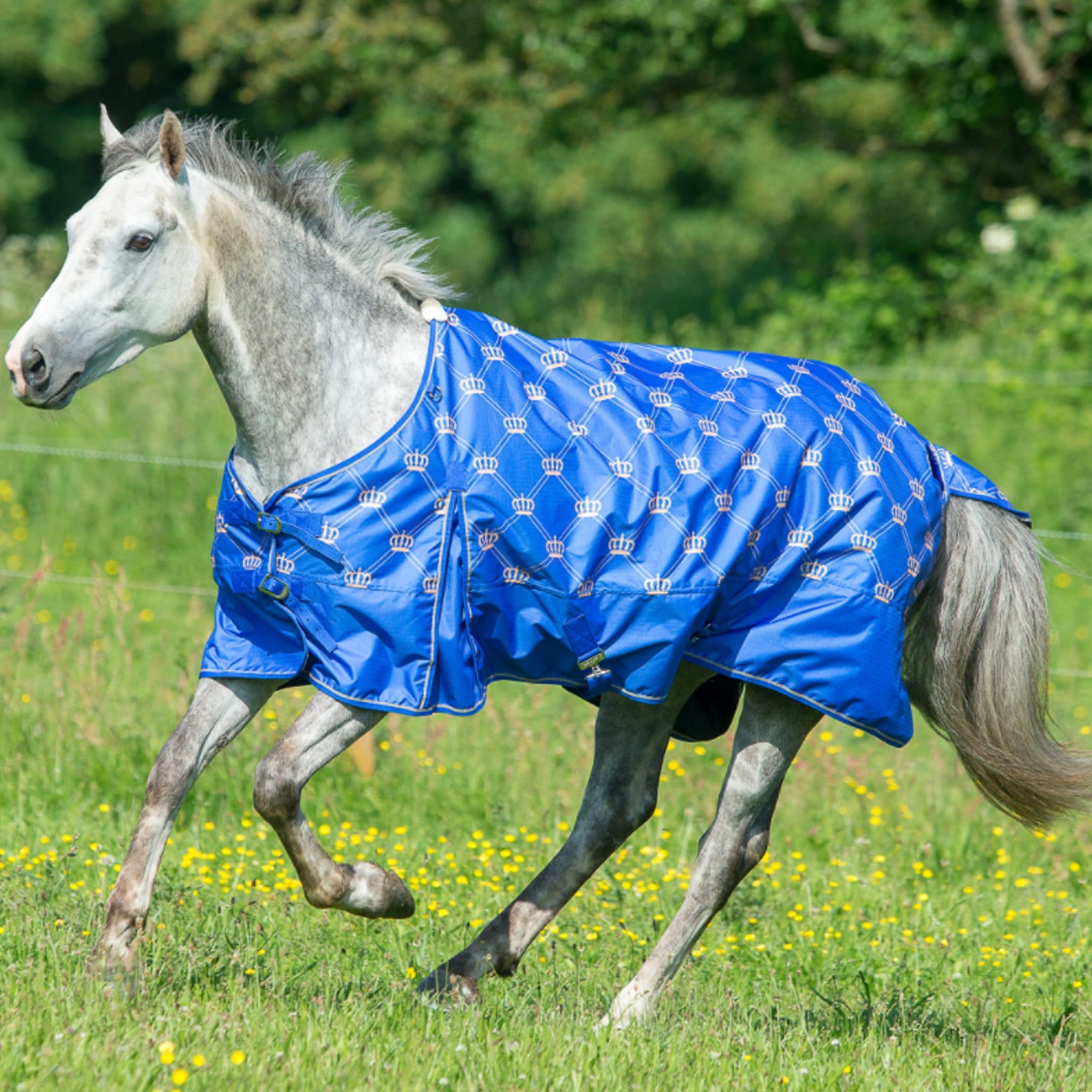 Lightweight shop turnout rug