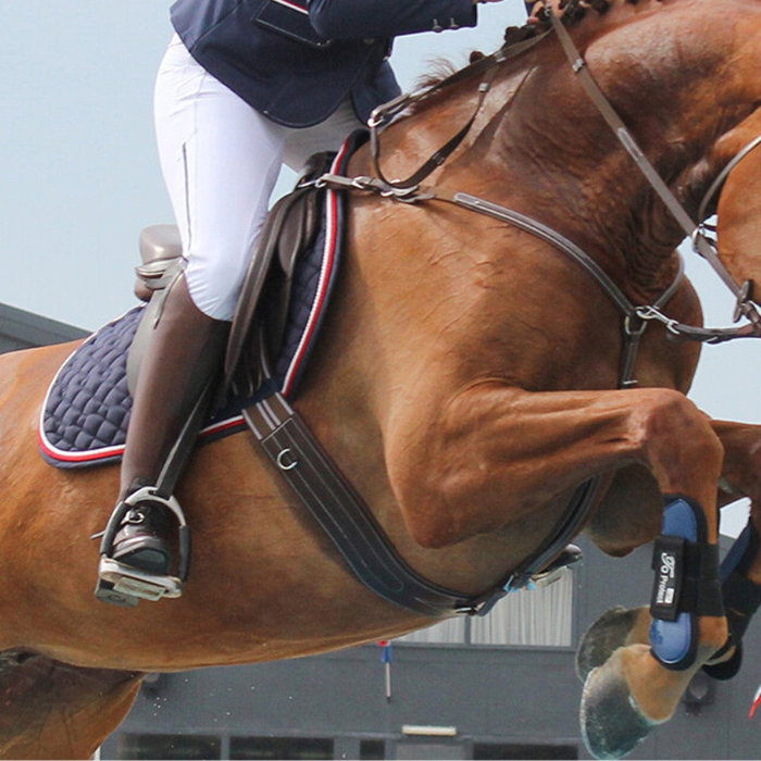 Horse Girths Free UK Delivery Available at EQUUS EQUUS