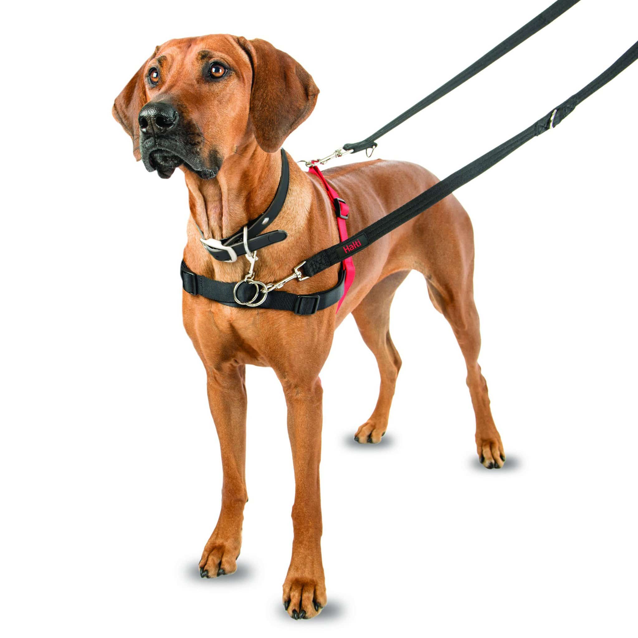 Halti Front Control Dog Harness