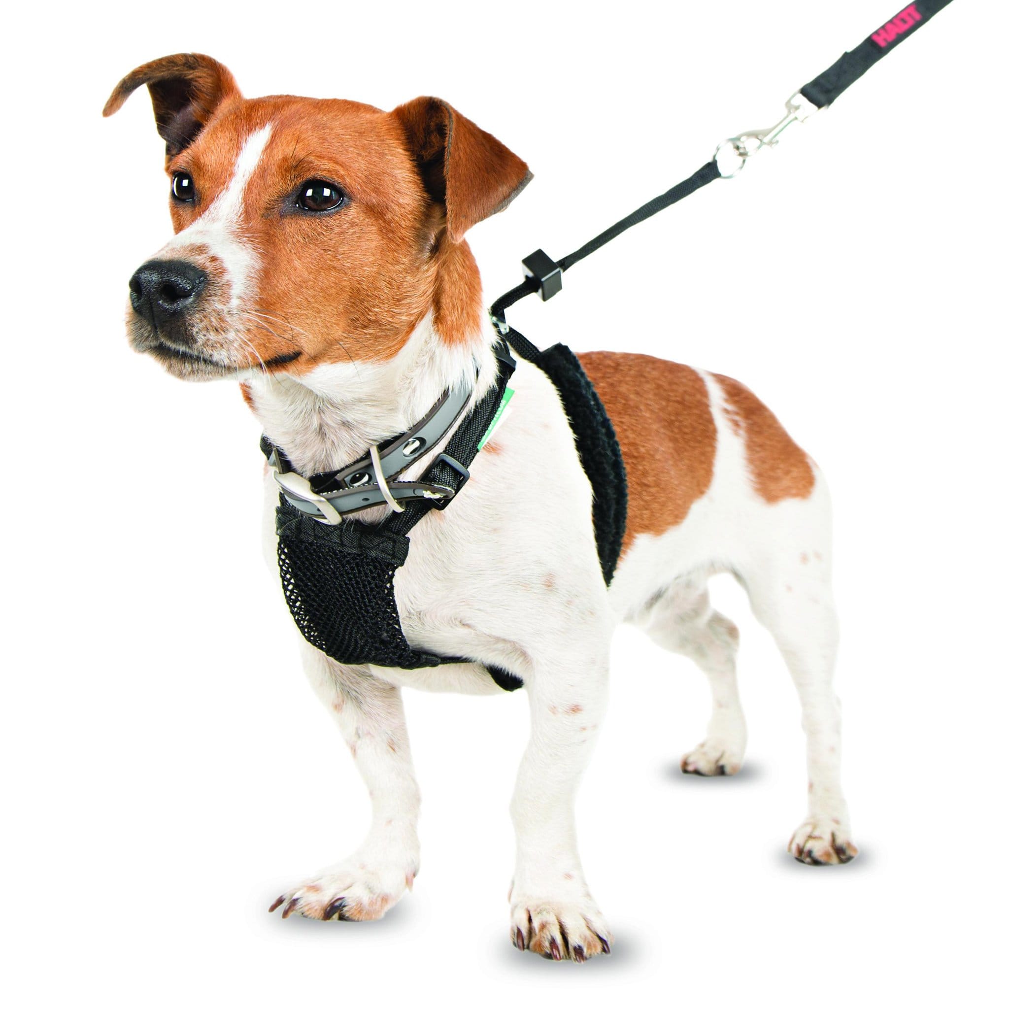 Halti Non Pull Dog Harness