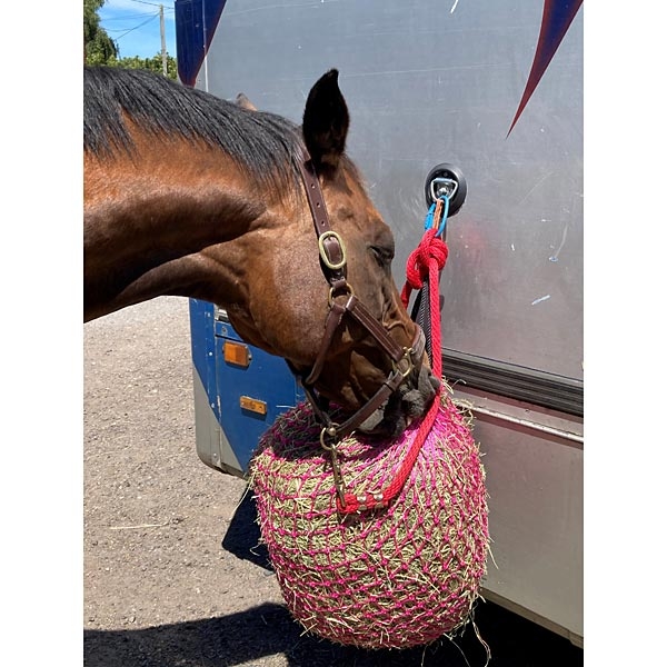 Elico Little Piggy Haynet