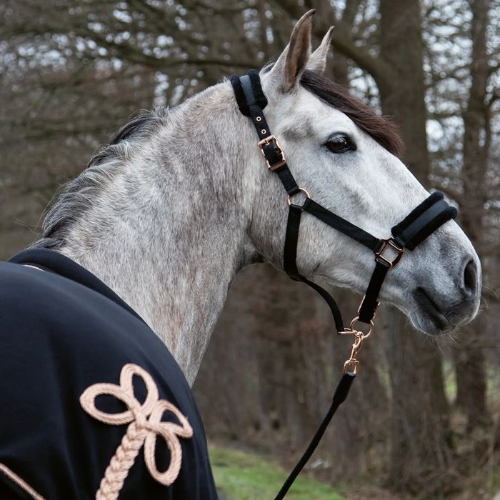 {"default":"headcollars"}