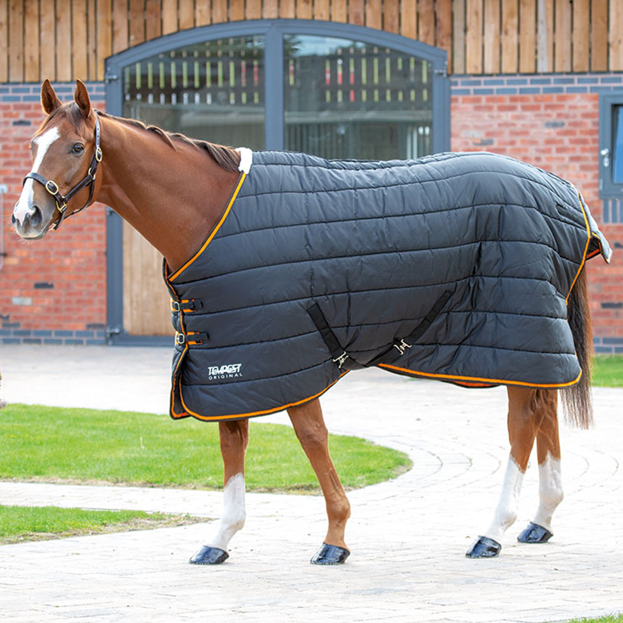 {"default":"Heavyweight Stable Rugs"}