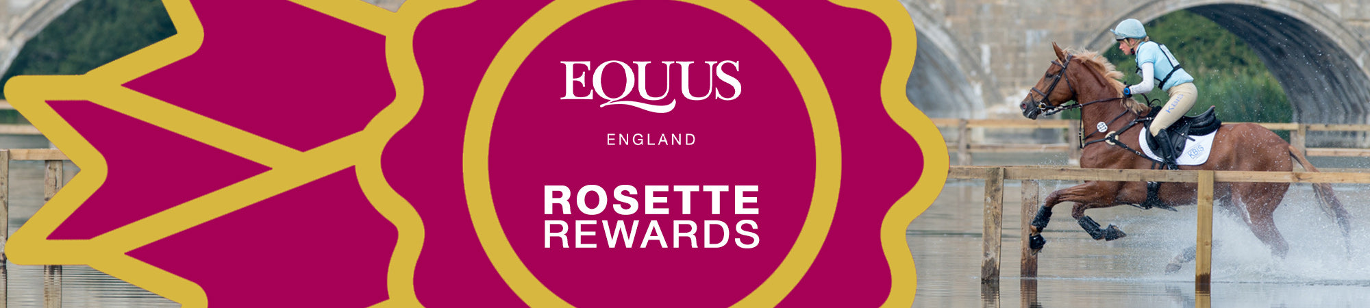 Welcome to the EQUUS Rosette Rewards Loyalty Programme