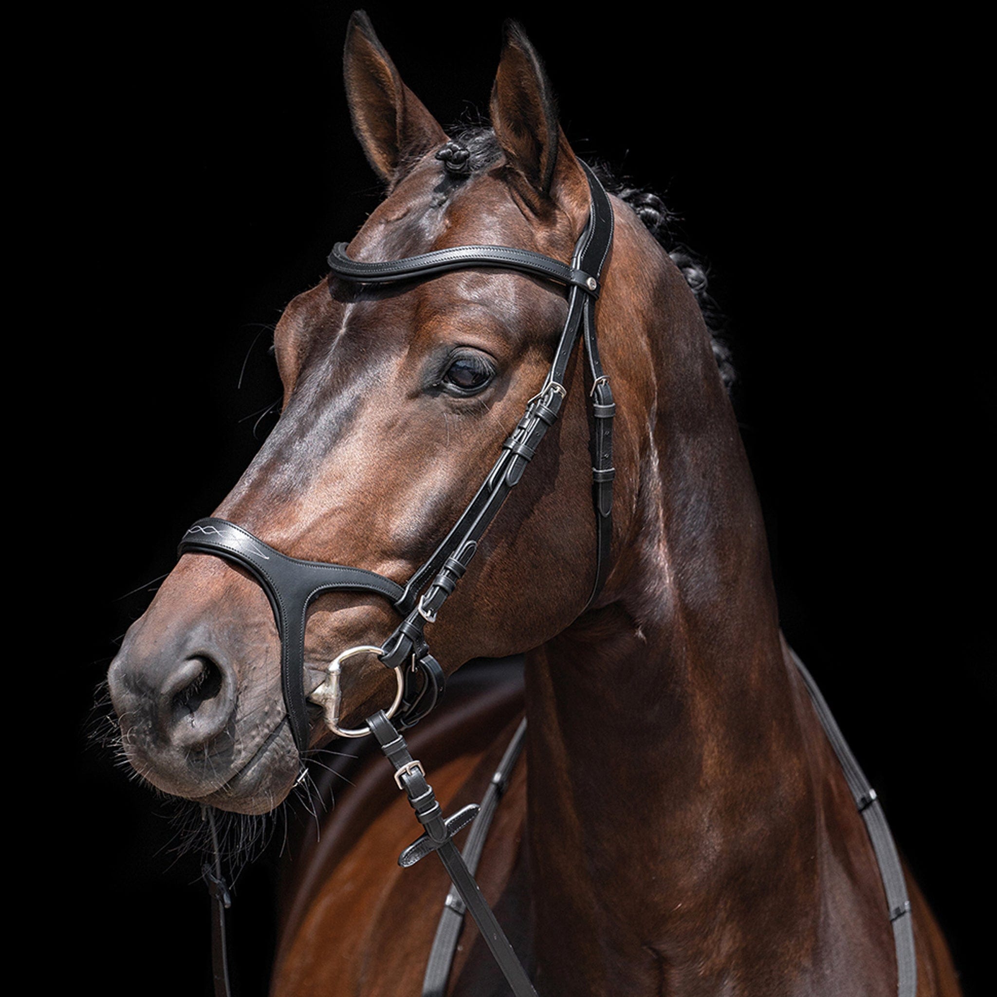 Hkm Anatomical Sports Bridle - Pony · Black