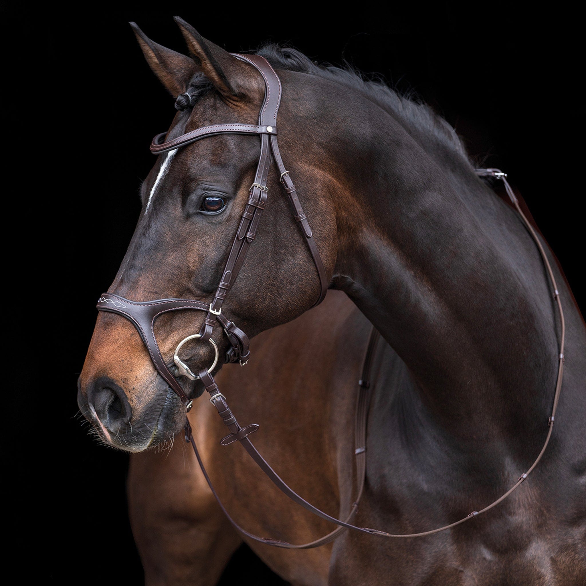HKM Anatomical Sports Bridle Brown On Horse Front 11213