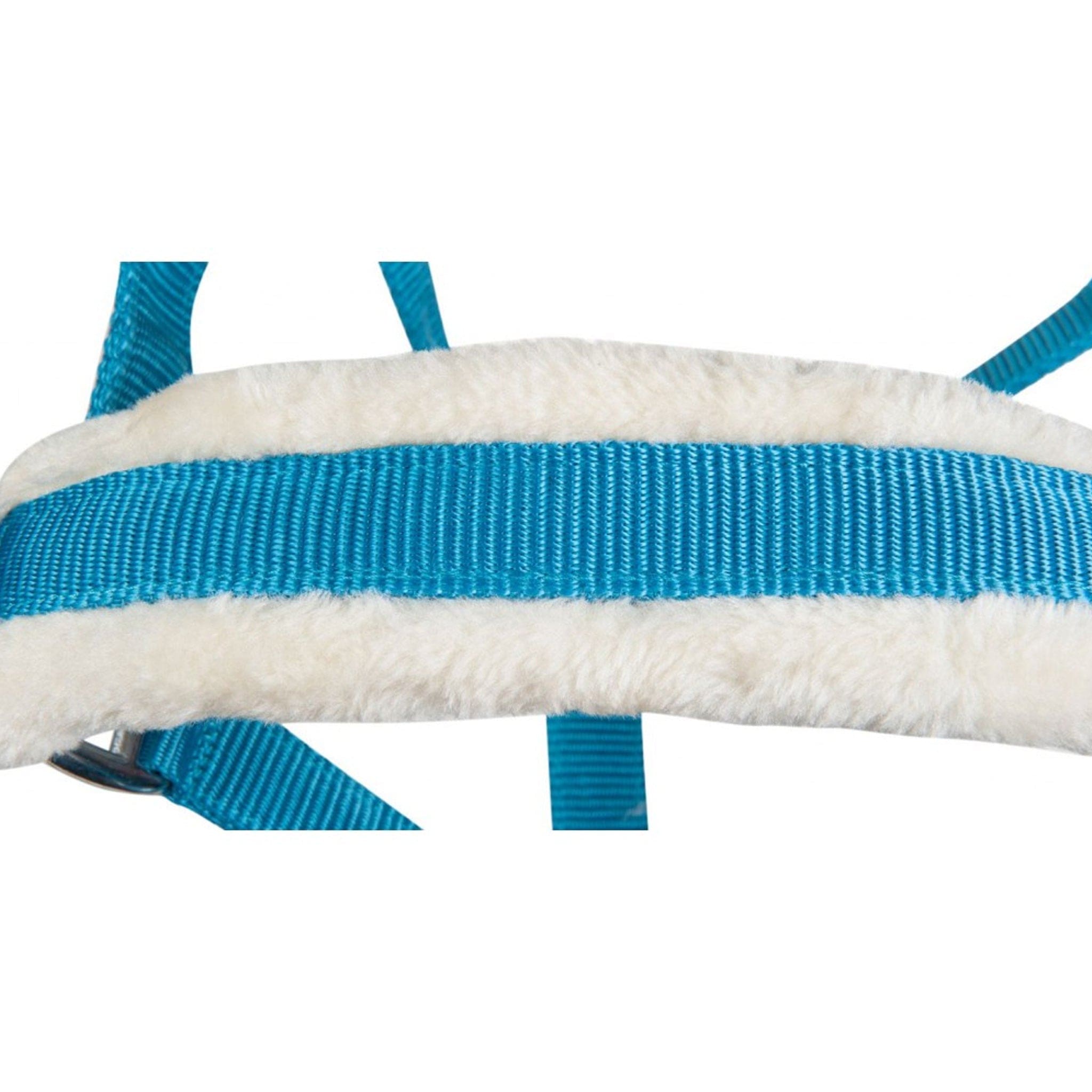 Hkm Head Collar Bischofshofen - Cob · Turquoise