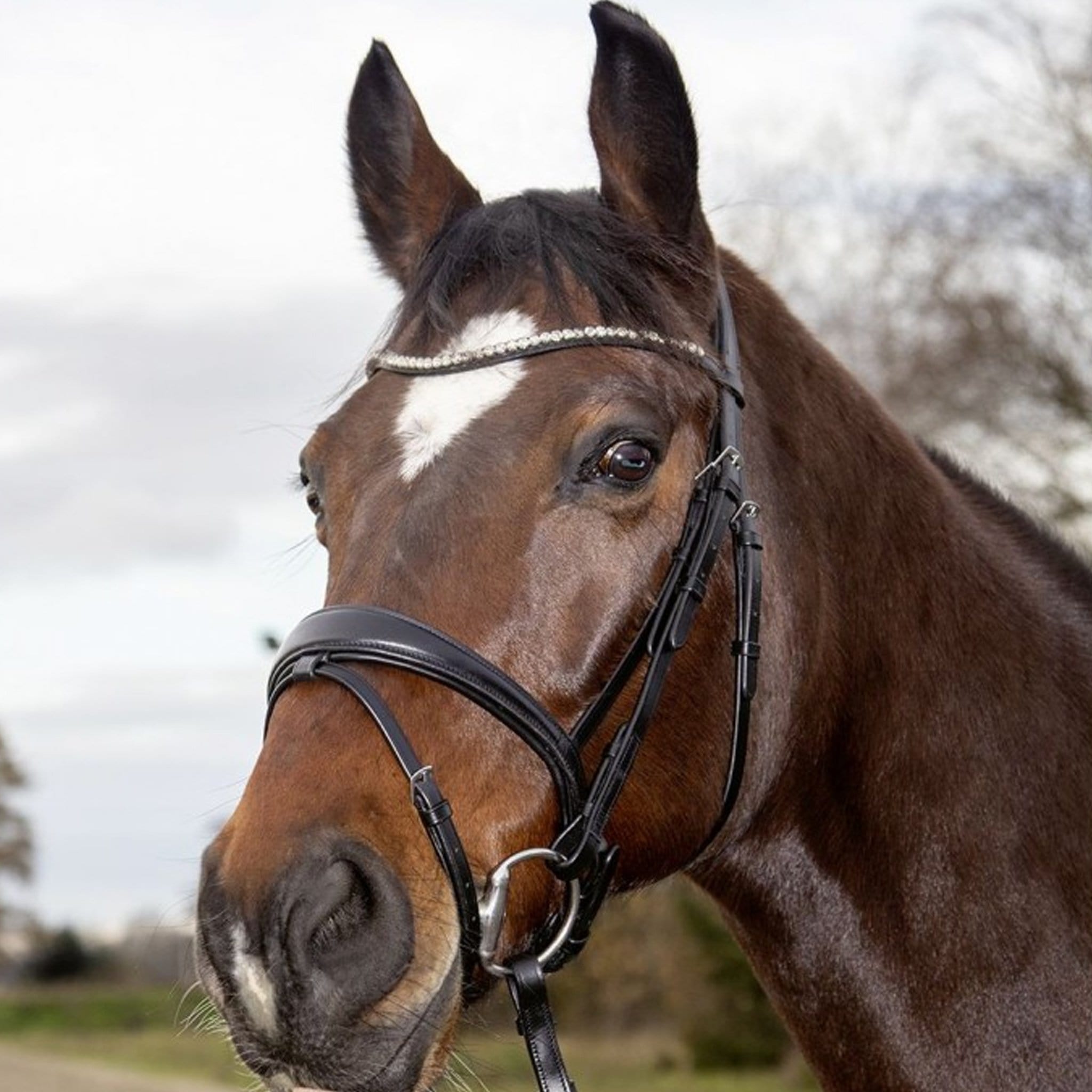 HKM Melinda Bridle Black On Horse 12747