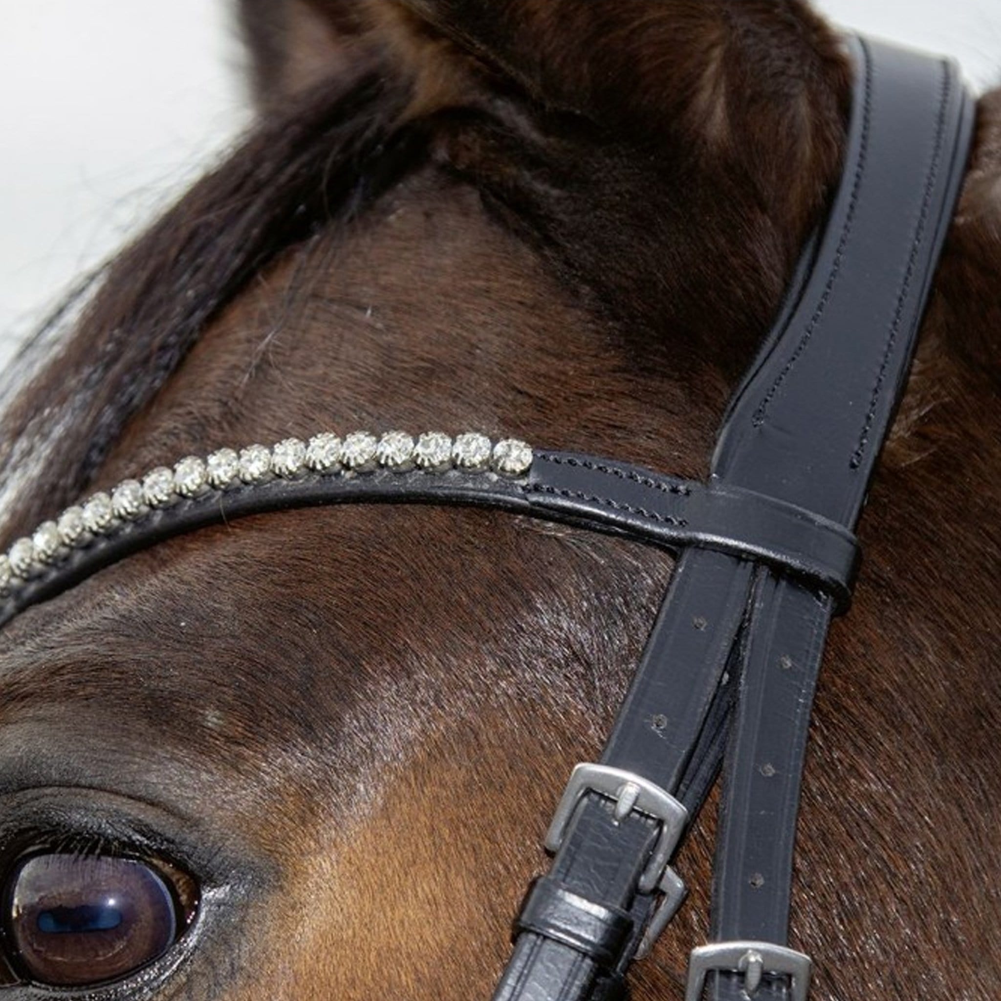 HKM Melinda Bridle Black On Horse 12747