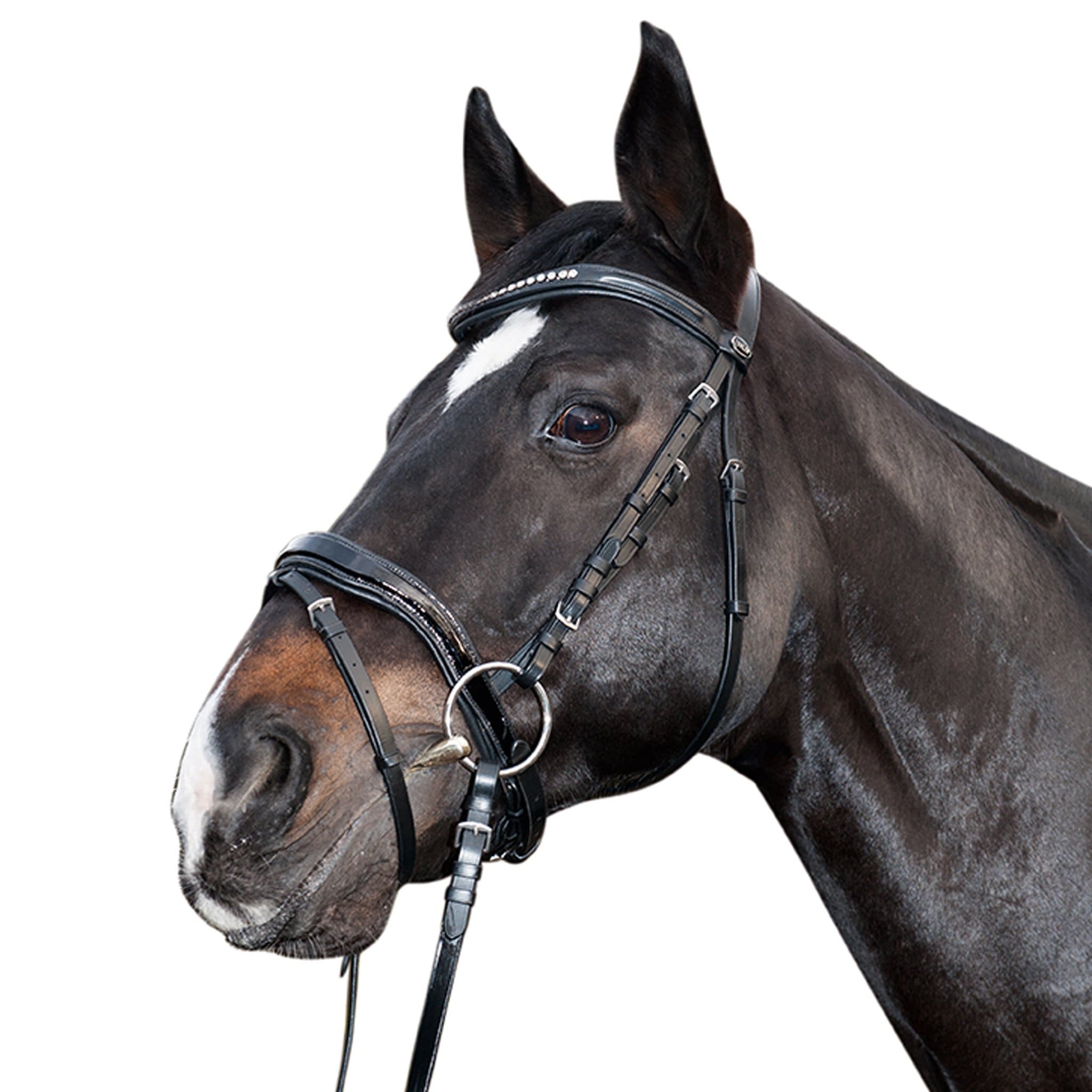 HKM Mila Bridle With Gel Padding 11136 Black On Horse