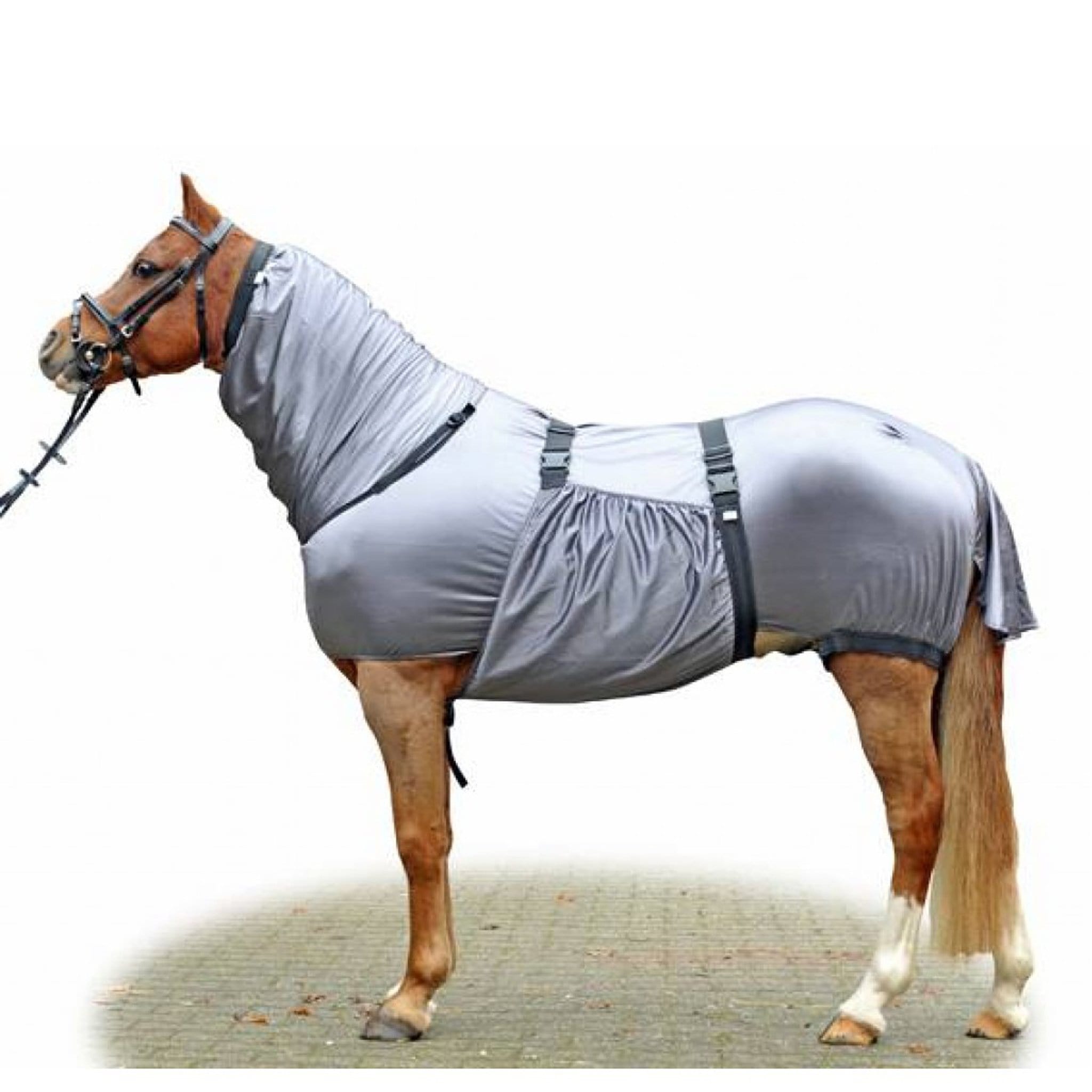 HKM Security Eczema Rug 7045 On Horse