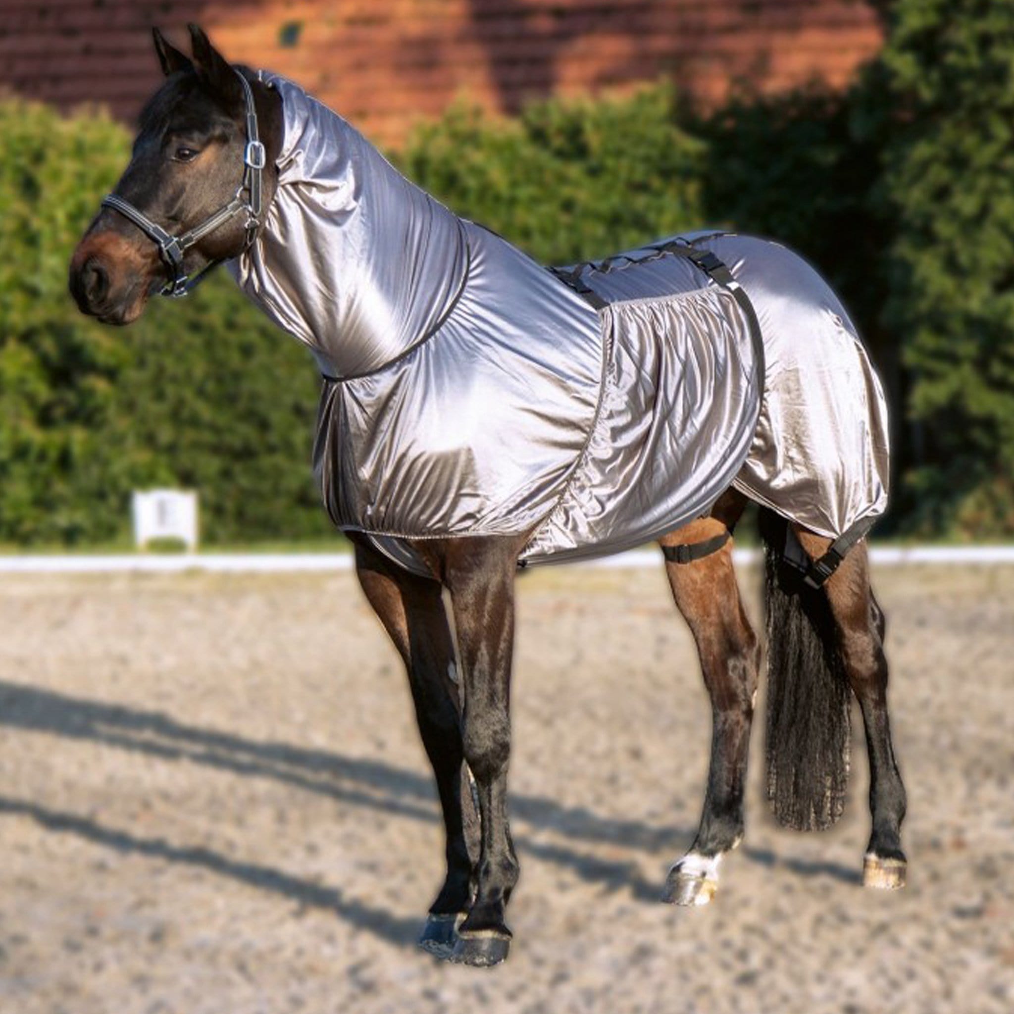 HKM Security Eczema Combo Fly Rug 7045 On Horse In School