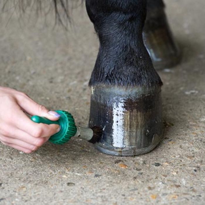 {"default":"hoof care"}