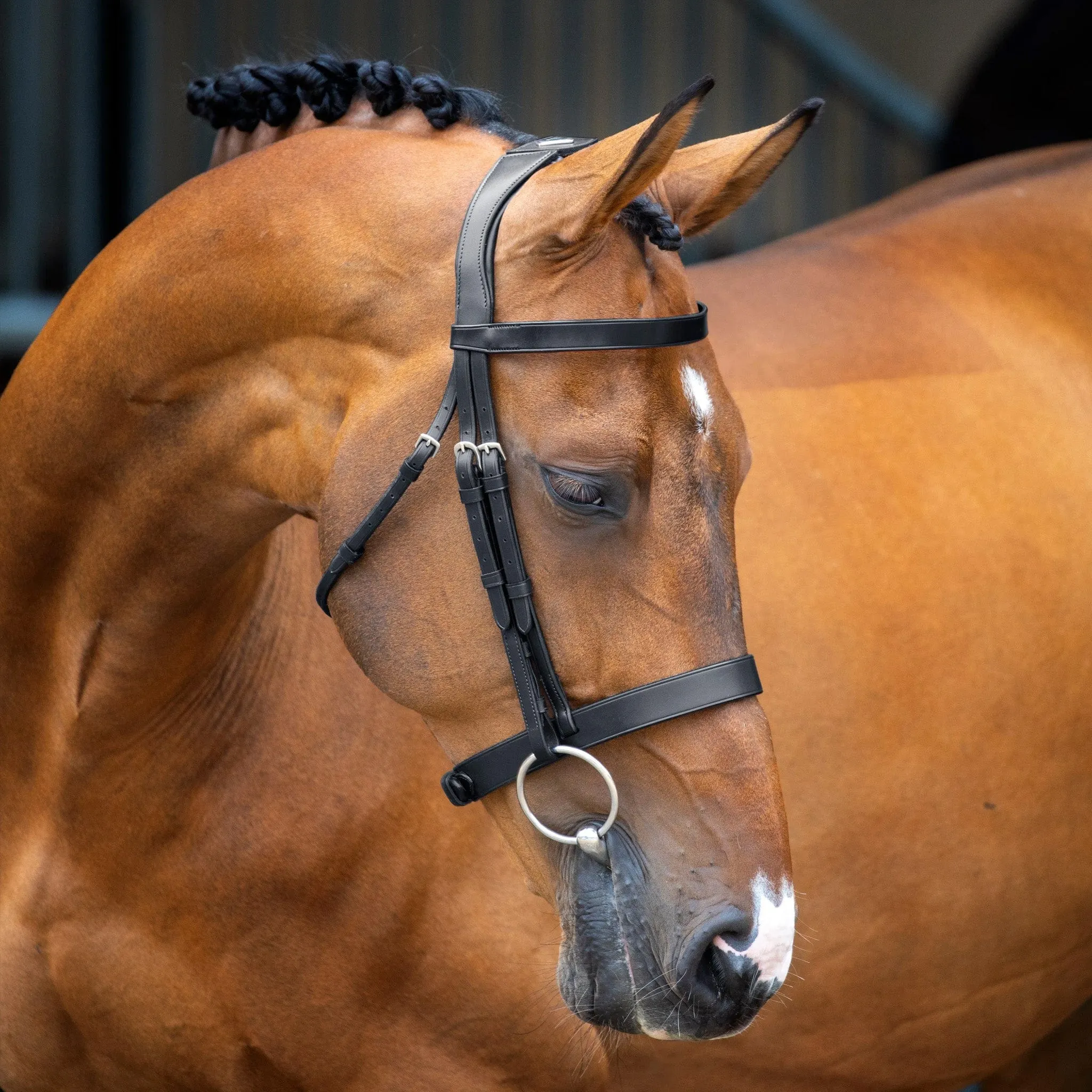 {"default":"Bridles"}