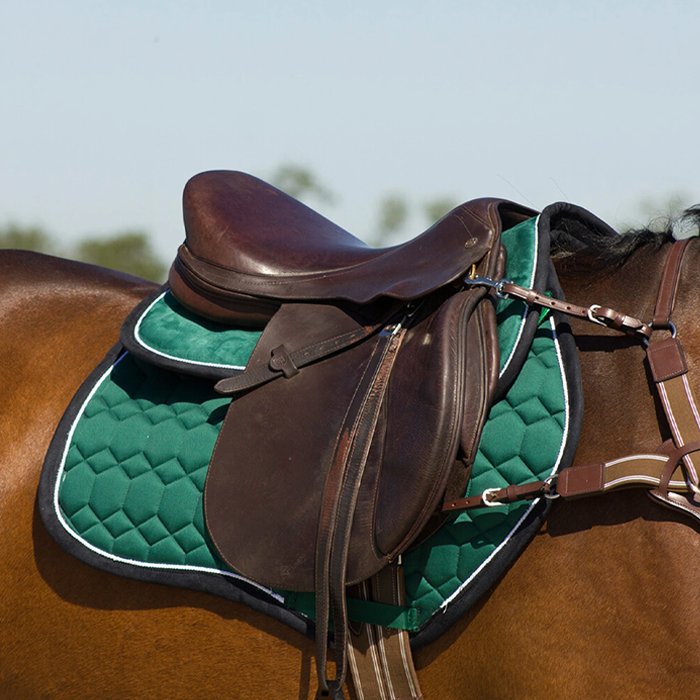 {"default":"Horse Gifts Between £25 - £50"}