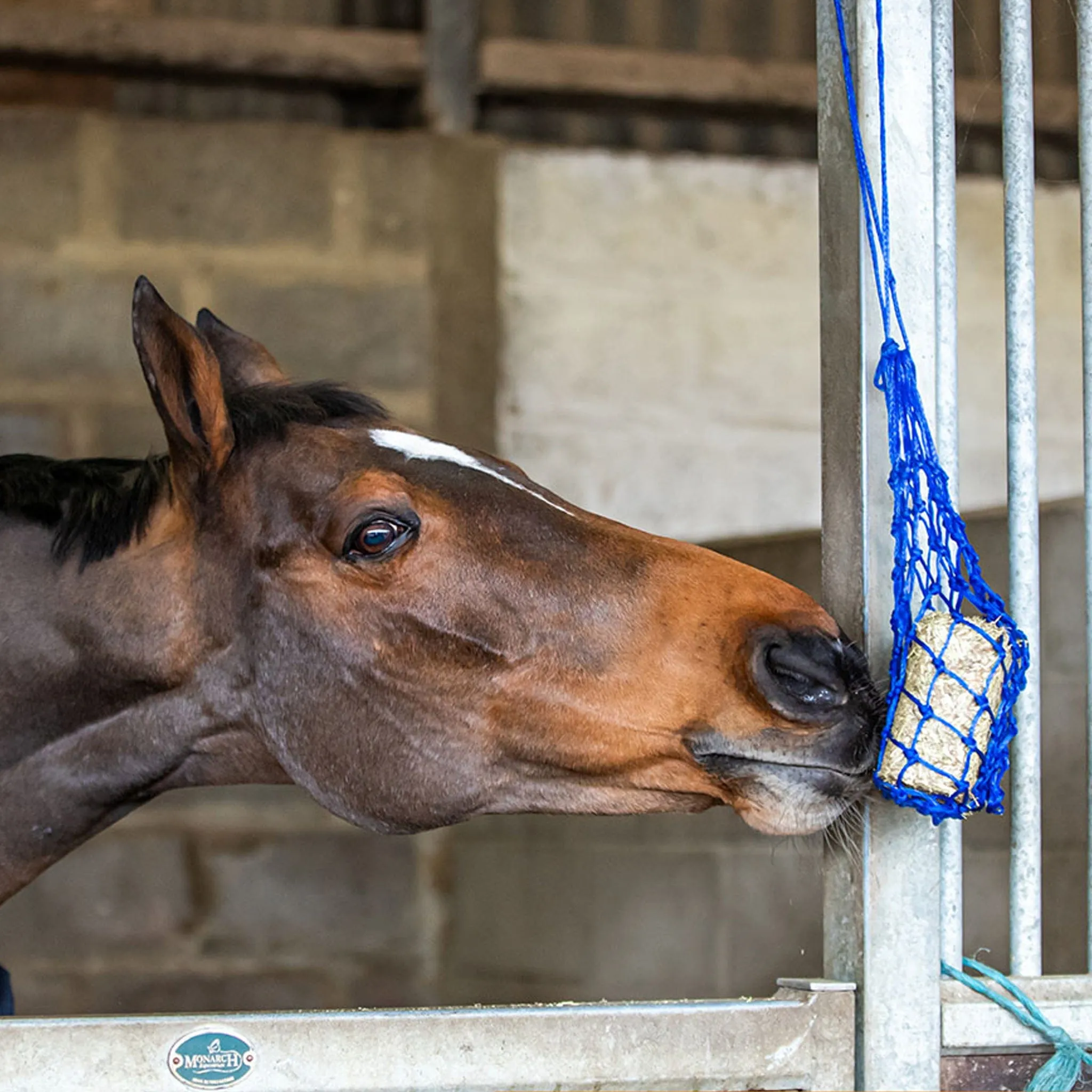 {"default":"Licks and Treats"}