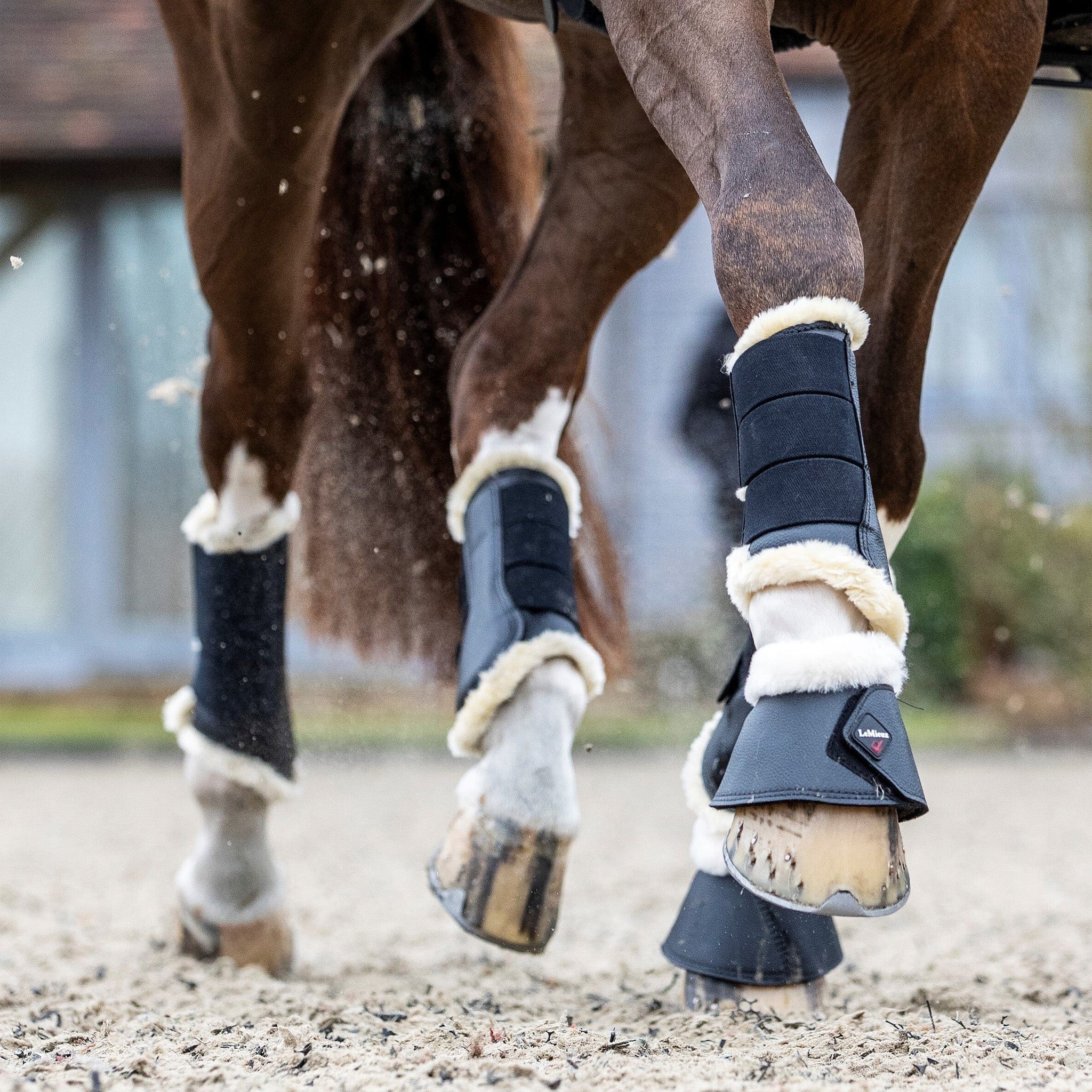 Lemieux deals horse boots