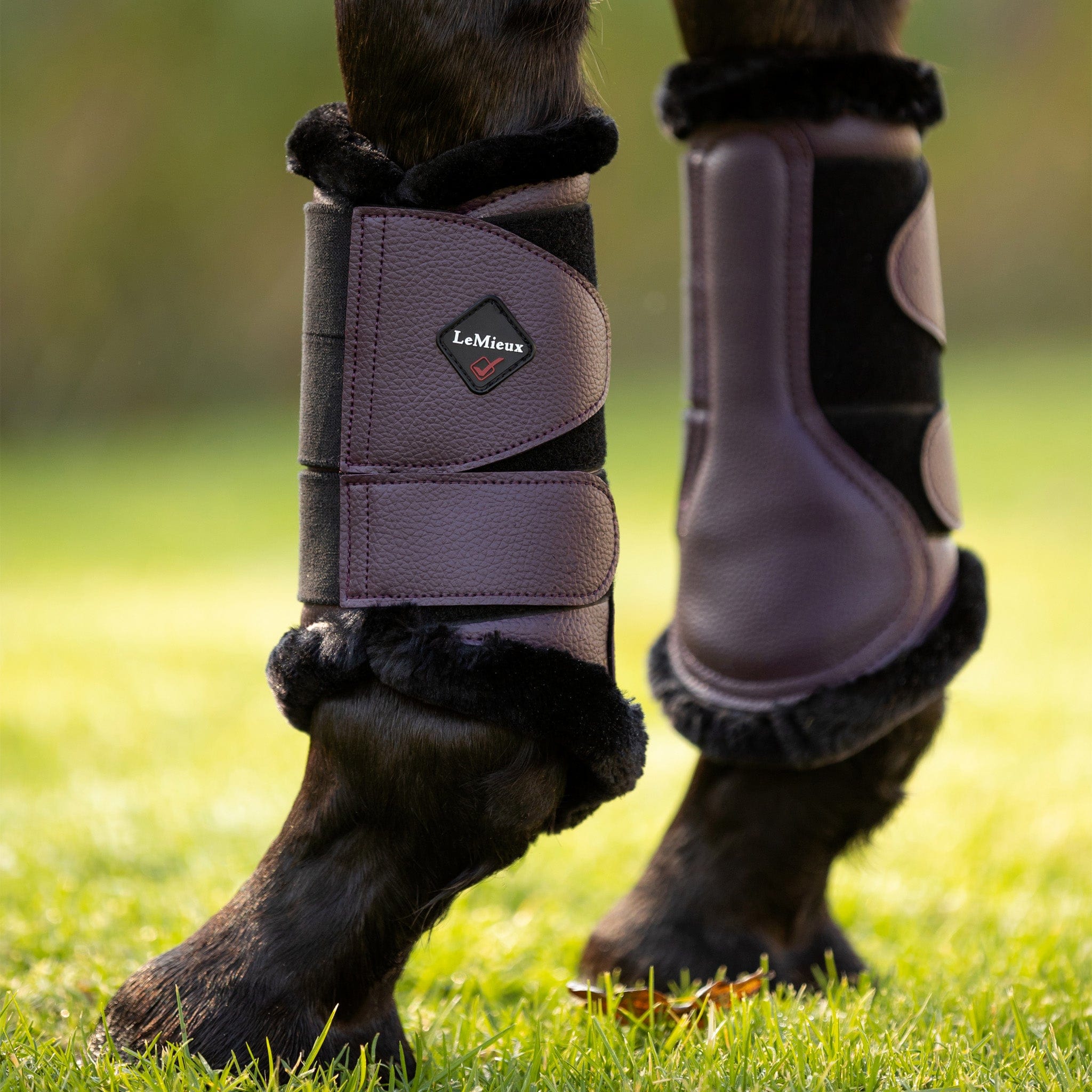 LeMieux Fleece Lined Brushing Boots Fig Size Extra Full Fig EQUUS