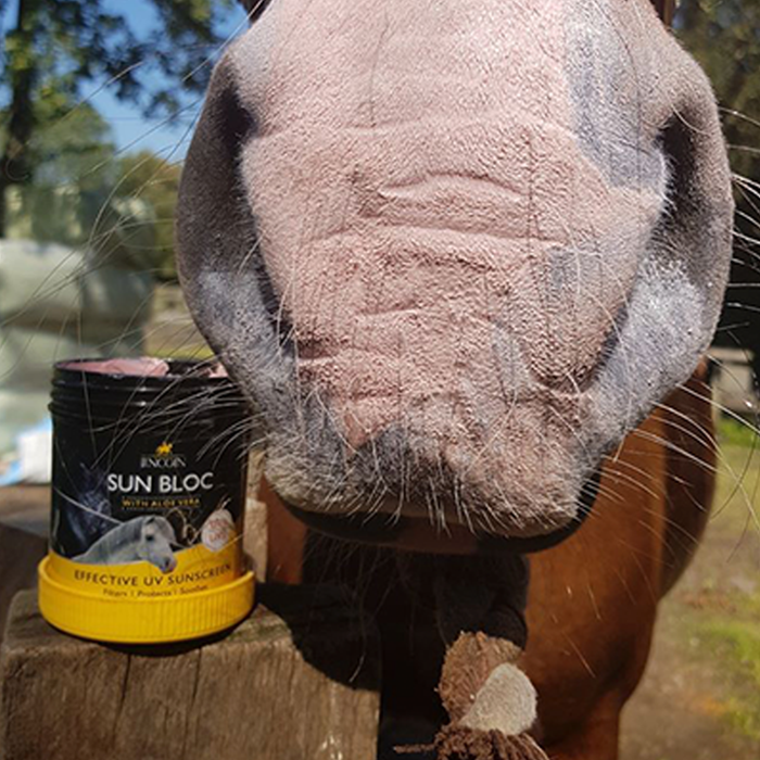 {"default":"Sun Protection"}