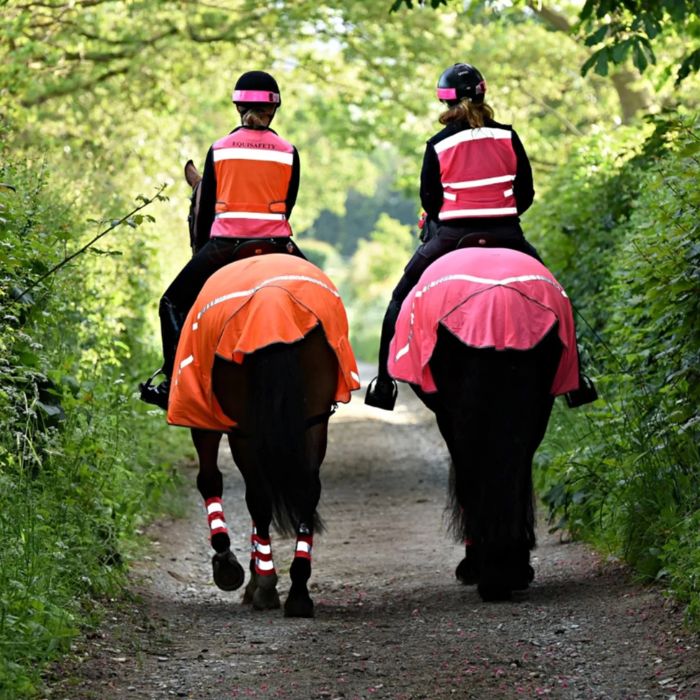 {"default":"horse hi viz"}