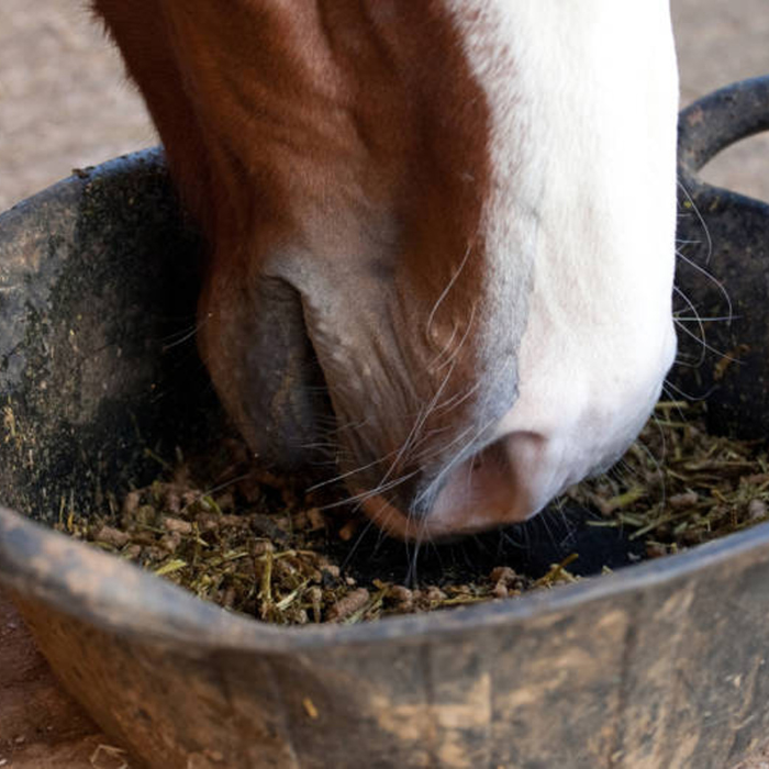 {"default":"Supplements"}