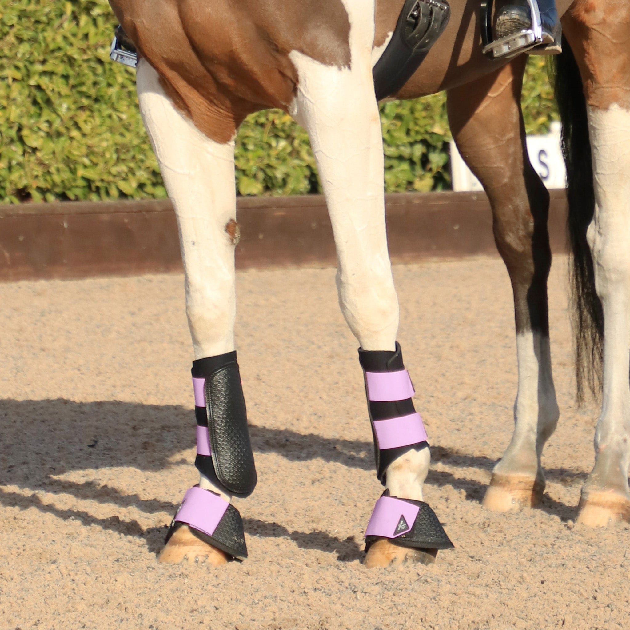 Hy Sport Active Brushing Boots