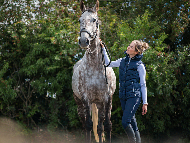 Klarna, Pay In 30 Days