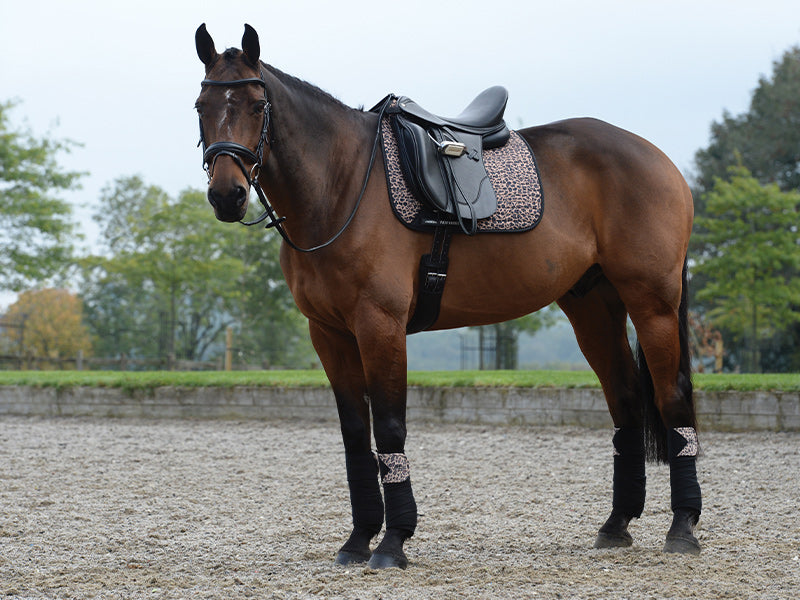 Klarna, Pay In 30 Days