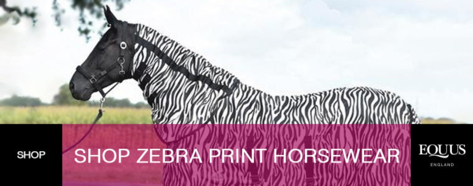 Shop zebra print horsewear