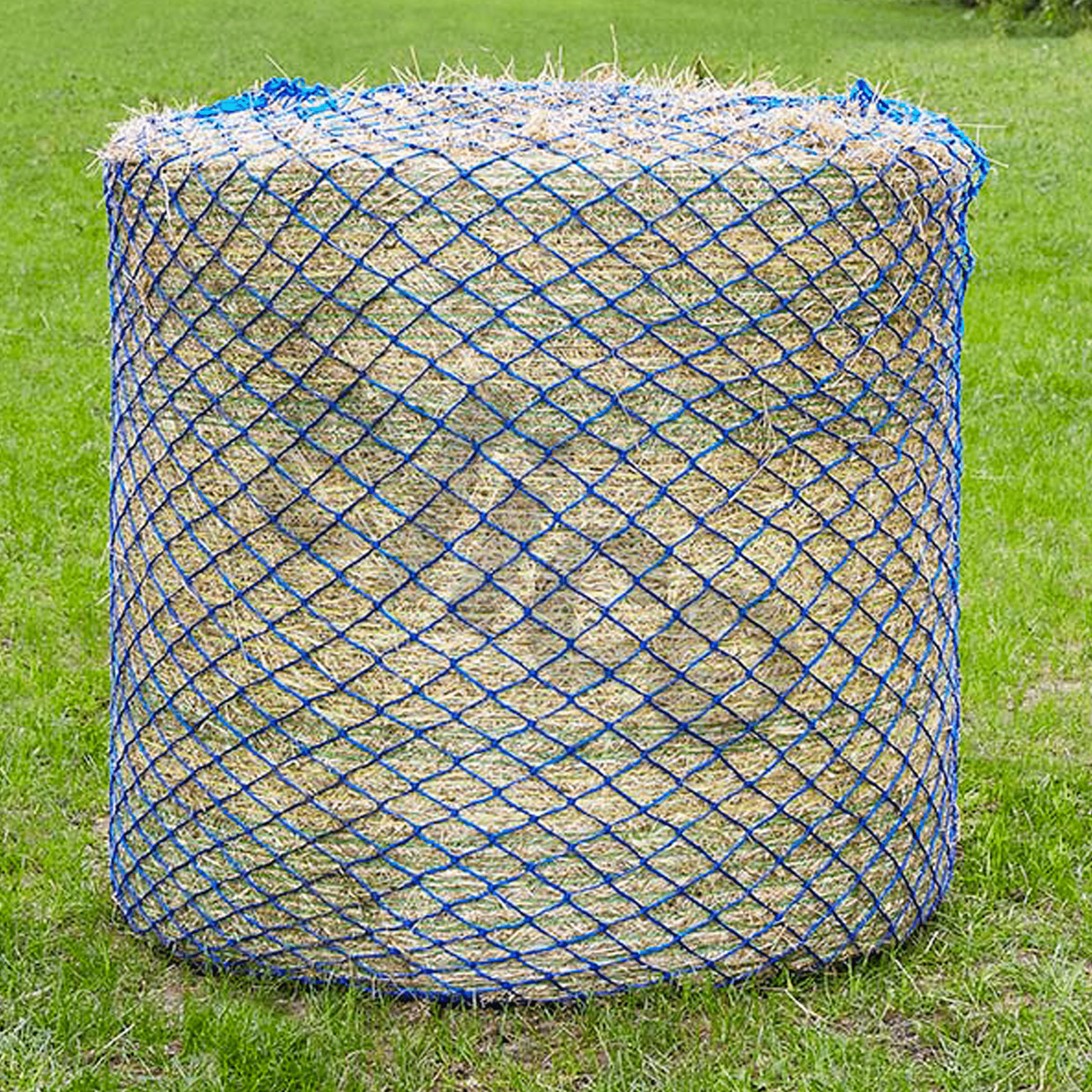 Elico Wild Boar Bale Net - Blue · Large