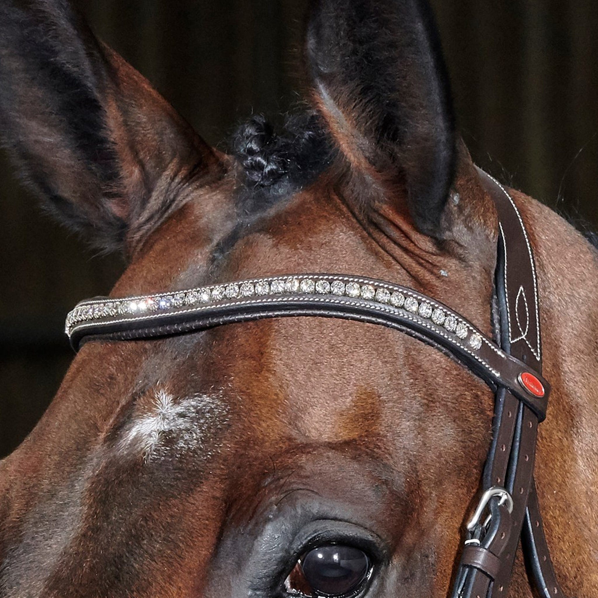 John Whitaker Chicago Anatomic Breathable Bridle Havana with Diamonte Browband BR070