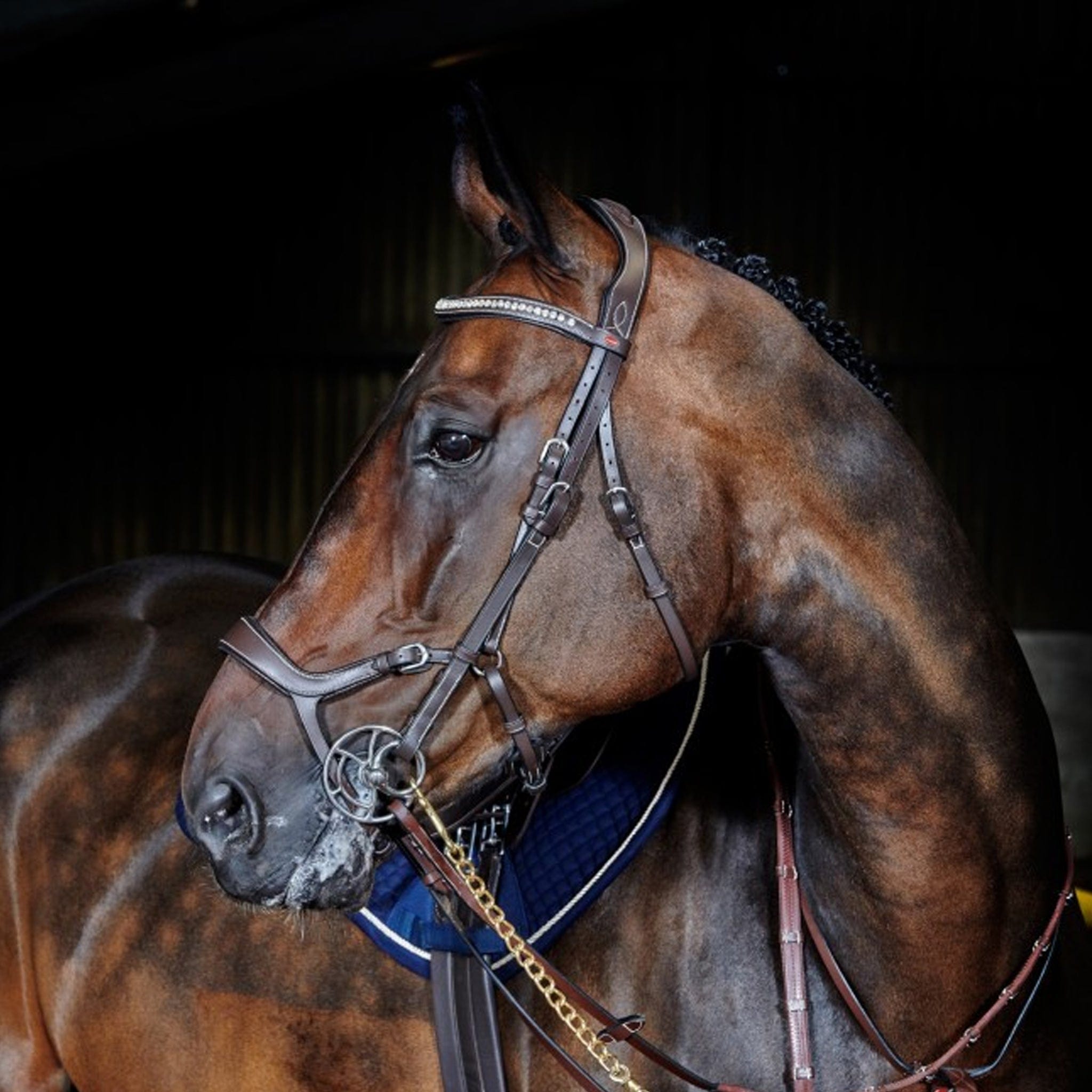 John Whitaker Chicago Anatomic Breathable Bridle Havana BR070
