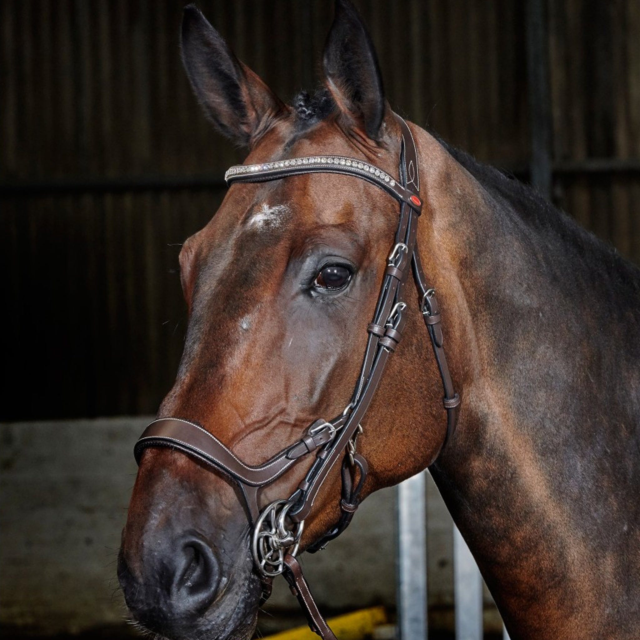 John Whitaker Chicago Anatomic Breathable Bridle Havana BR070