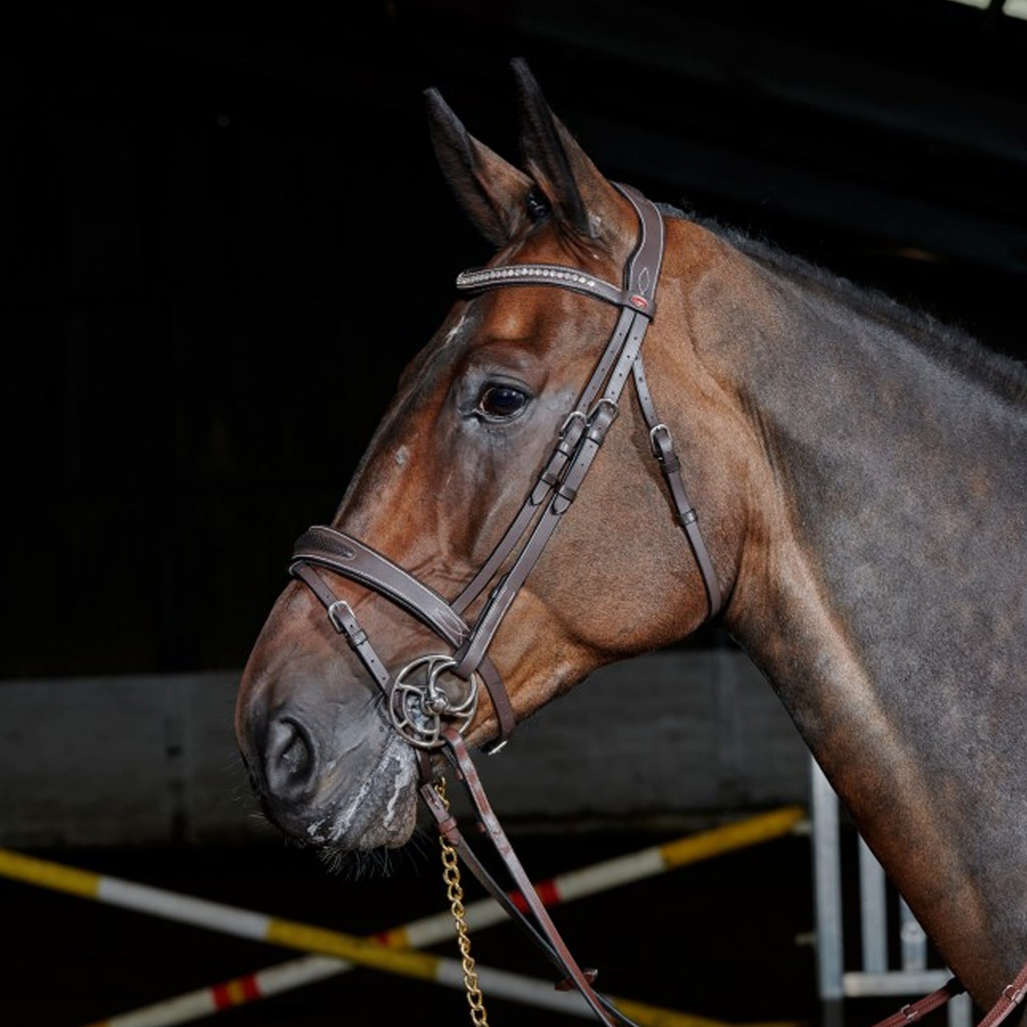 John Whitaker Breathable Leather Bridle Havana BR071