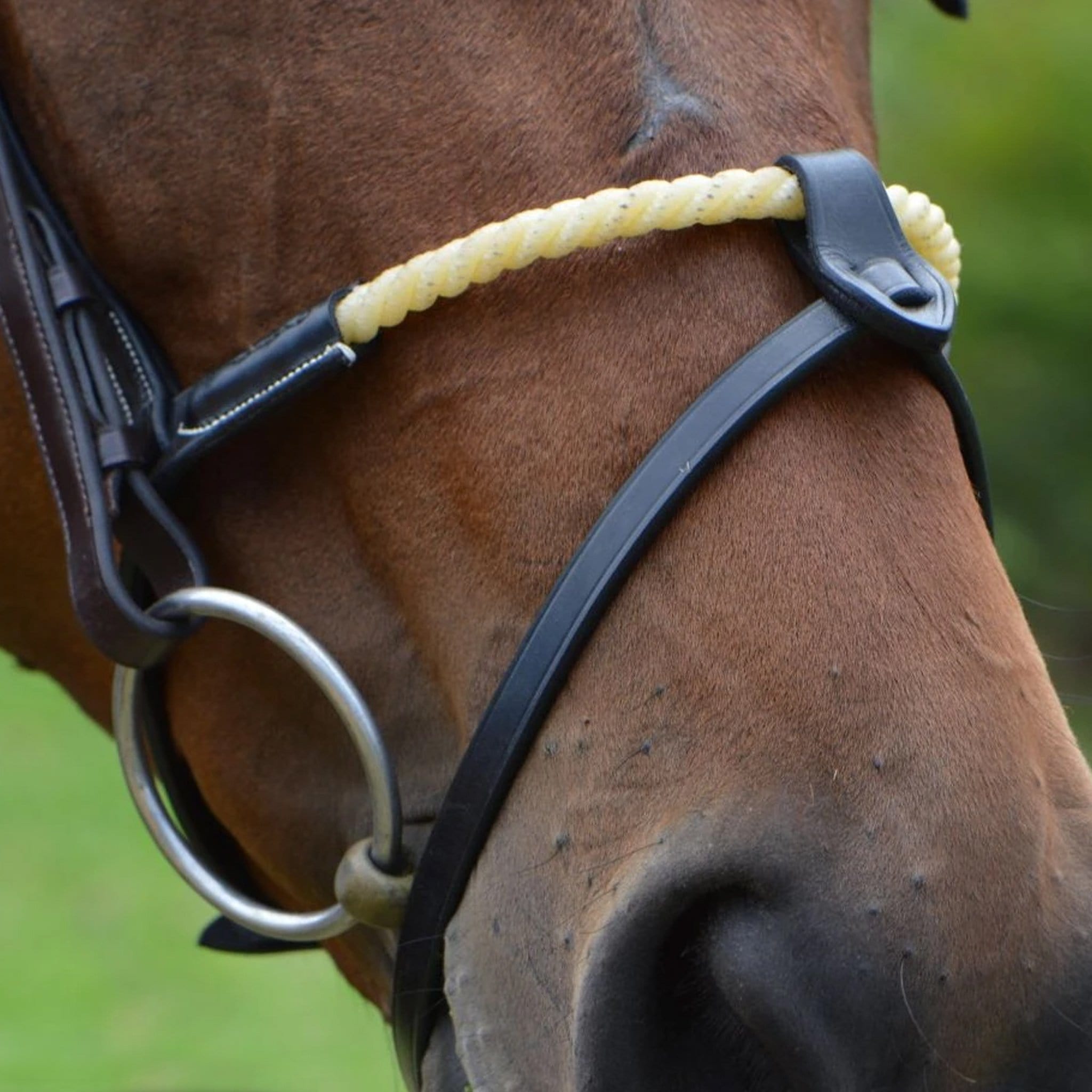 John Whitaker Rope Noseband RNB On Horse Black
