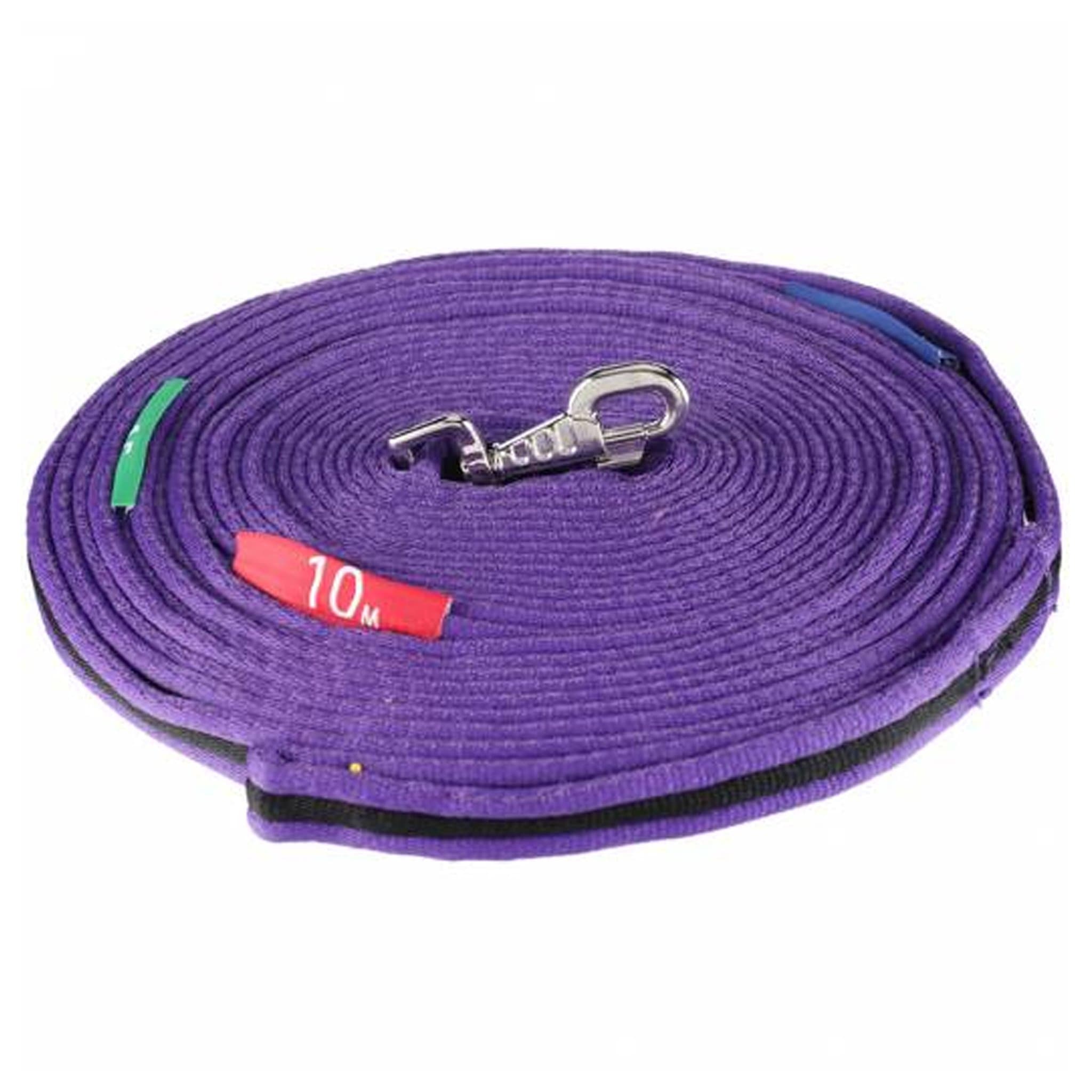 Kincade Two Tone Lunge Line with Circle Markers