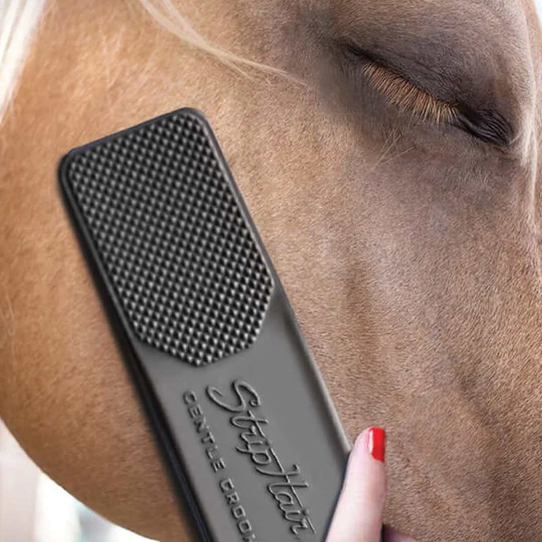 Betty's Best StripHair Groomer For Horses Free UK Delivery
