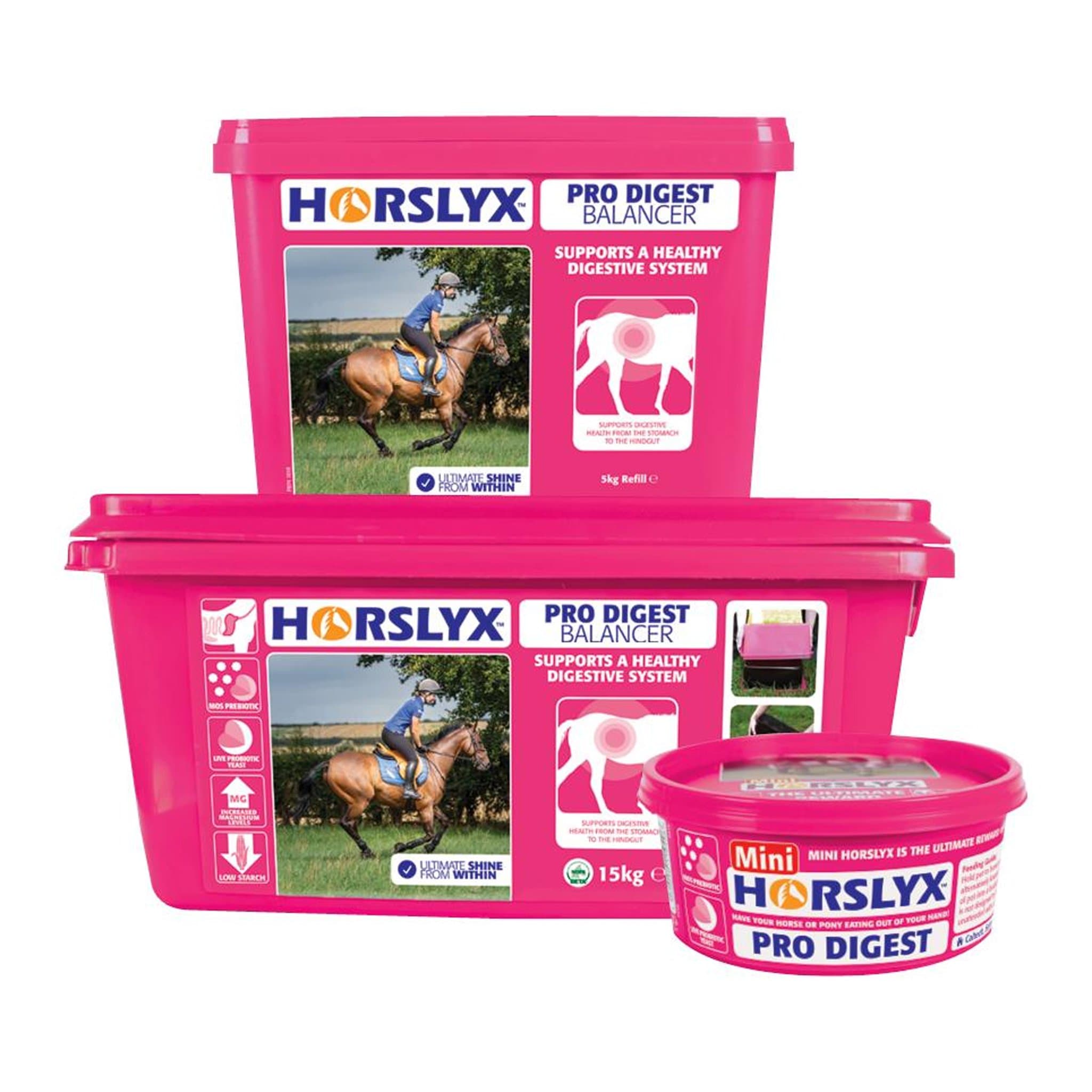 Horslyx Pro Digest Balancer Lick