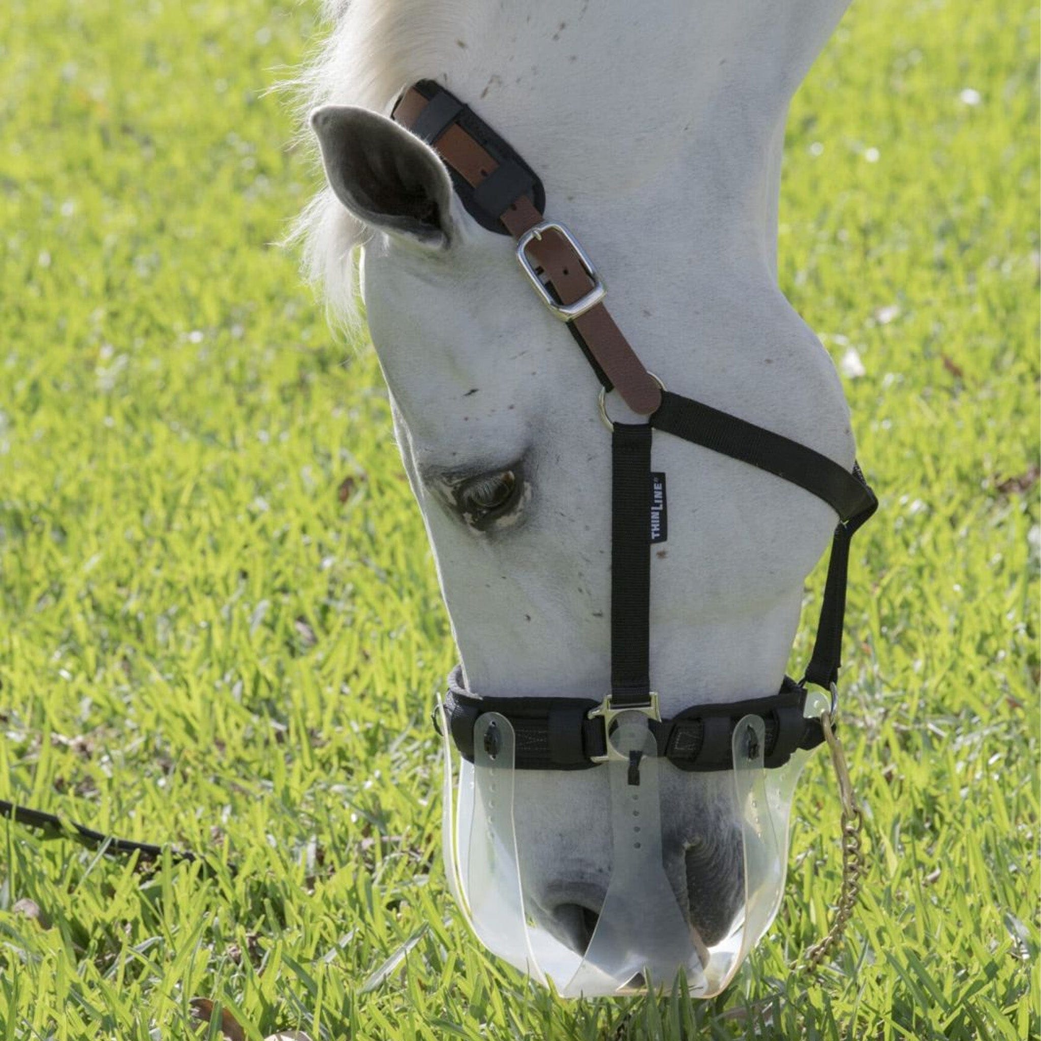 ThinLine Flexible Breakaway Field Safe Headcollar EQUUS