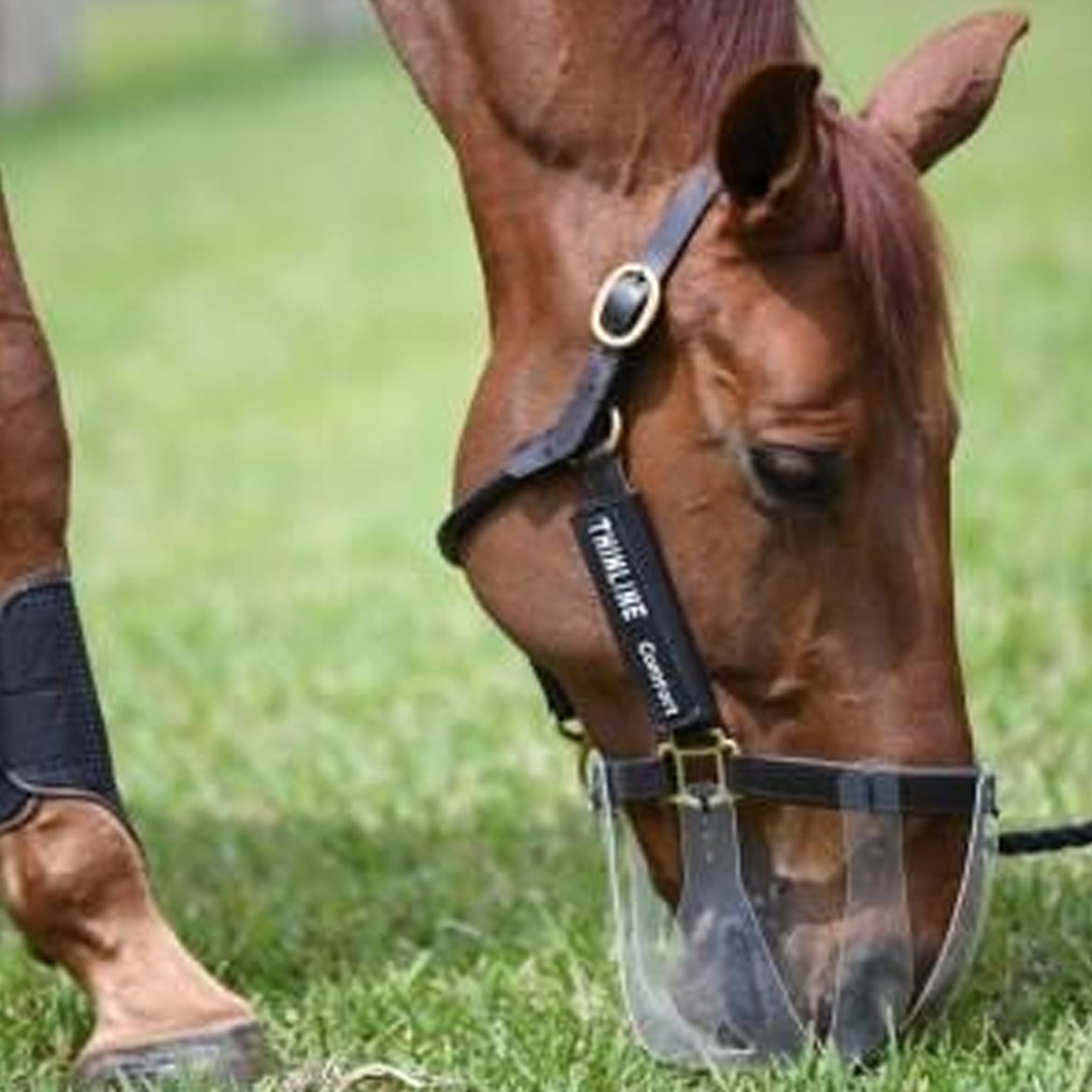 ThinLine Flexible Filly Grazing Muzzle Small (Mini - Pony 23 inches)