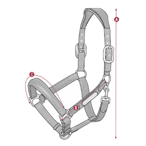 LeMieux Capella Headcollar Size Guide Image