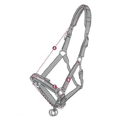 LeMieux Leather Control Headcollar Size Guide Image