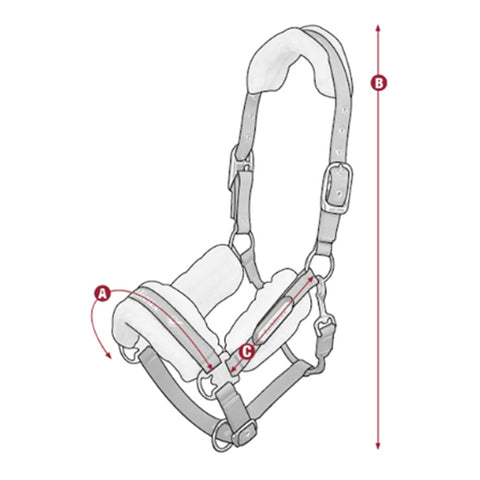 LeMieux Loire Headcollar