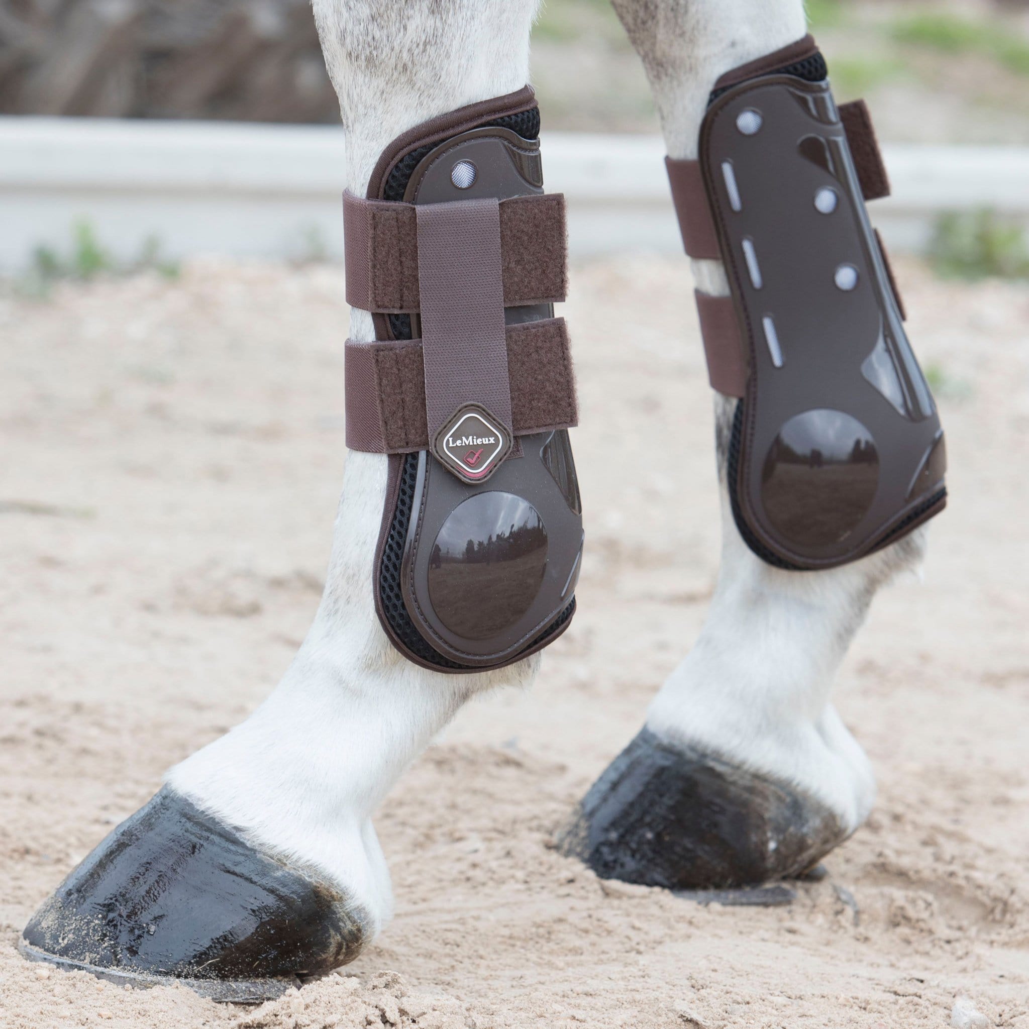 lemieux derby projump tendon boots