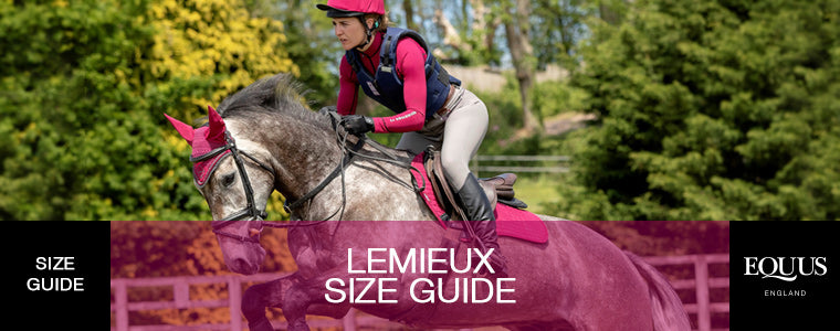 LeMieux Size Guide