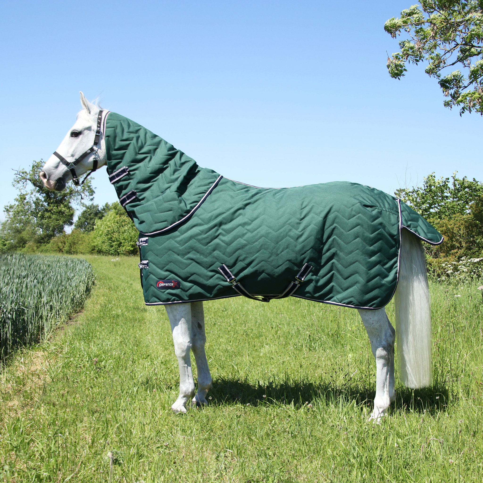 {"default":"Lightweight Stable Rugs"}